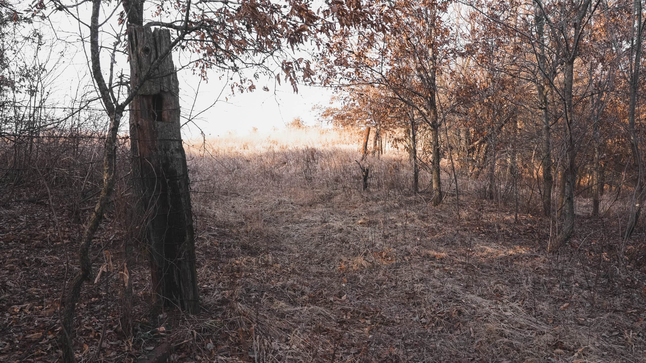 Secluded 240+/- Acre Hunting & Recreational Tract in a Low-Pressure Area of Southern Iowa