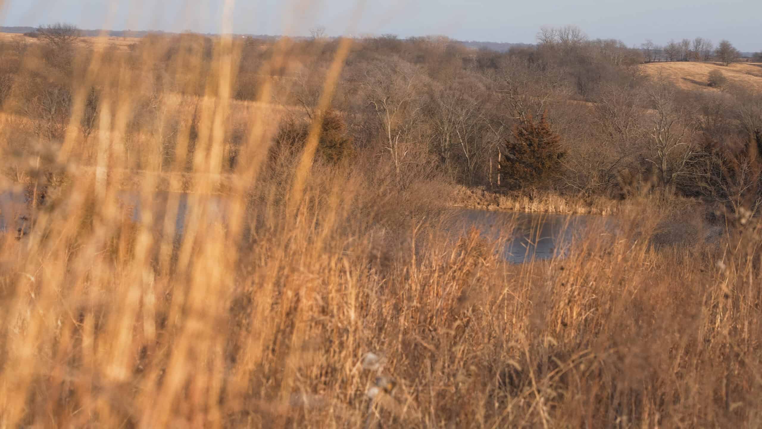 Secluded 240+/- Acre Hunting & Recreational Tract in a Low-Pressure Area of Southern Iowa