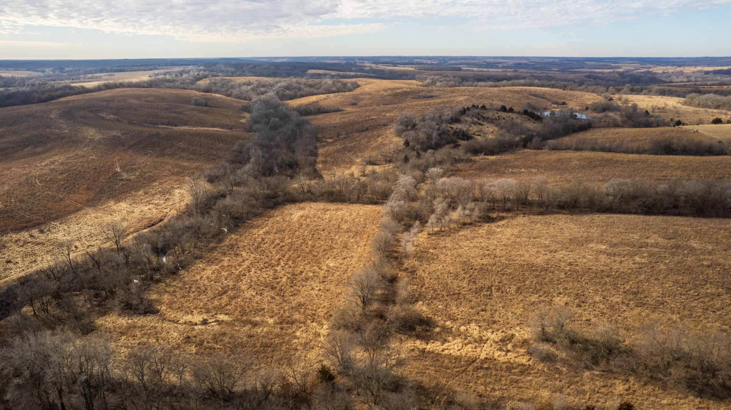 Secluded 240+/- Acre Hunting & Recreational Tract in a Low-Pressure Area of Southern Iowa