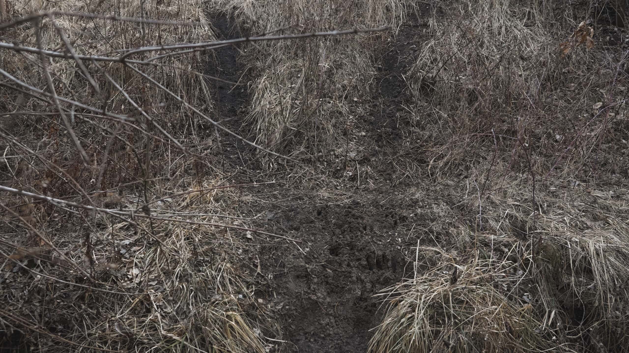 Secluded 240+/- Acre Hunting & Recreational Tract in a Low-Pressure Area of Southern Iowa