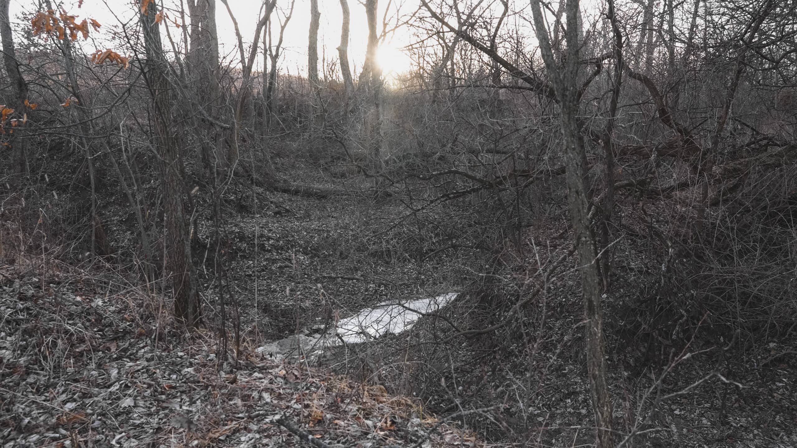 Secluded 240+/- Acre Hunting & Recreational Tract in a Low-Pressure Area of Southern Iowa
