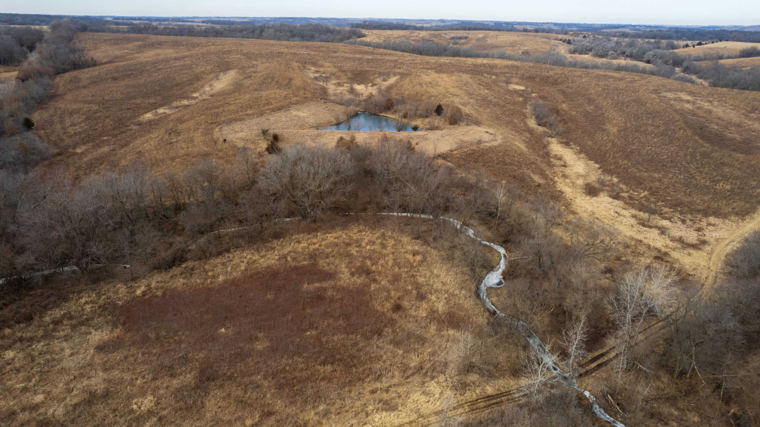 Secluded 240+/- Acre Hunting & Recreational Tract in a Low-Pressure Area of Southern Iowa