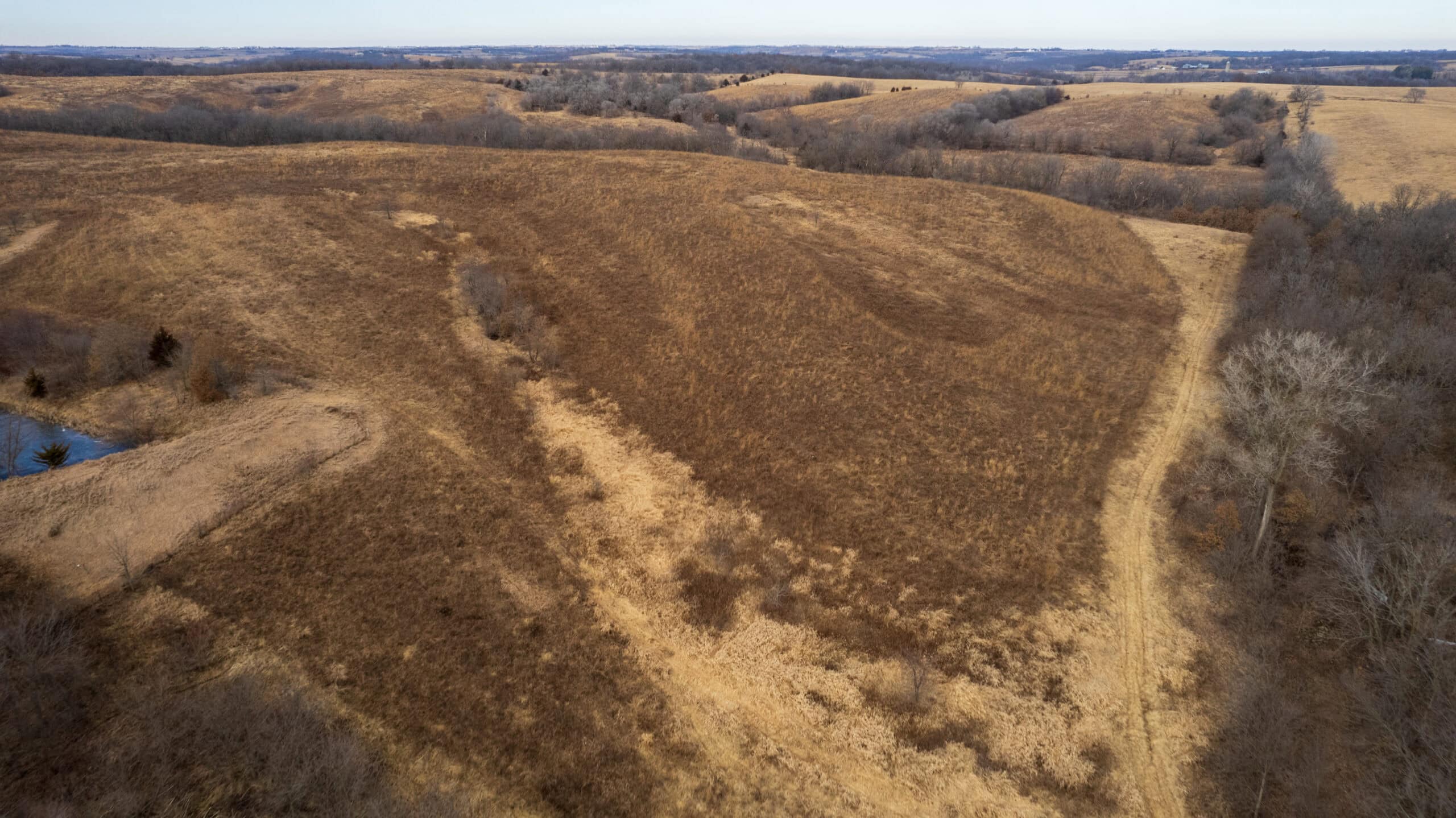 Secluded 240+/- Acre Hunting & Recreational Tract in a Low-Pressure Area of Southern Iowa
