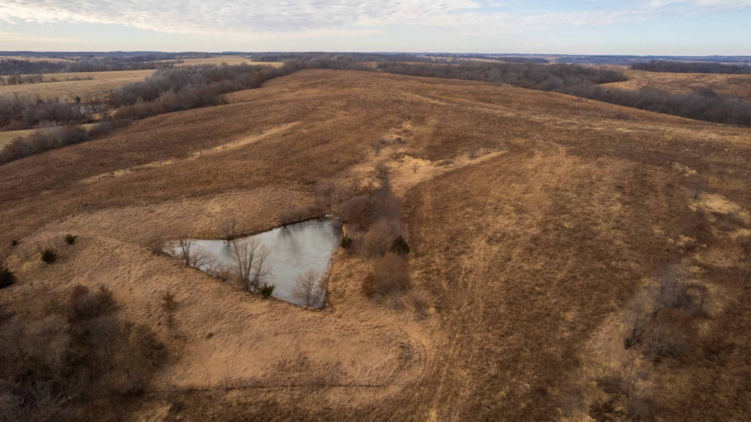 Secluded 240+/- Acre Hunting & Recreational Tract in a Low-Pressure Area of Southern Iowa