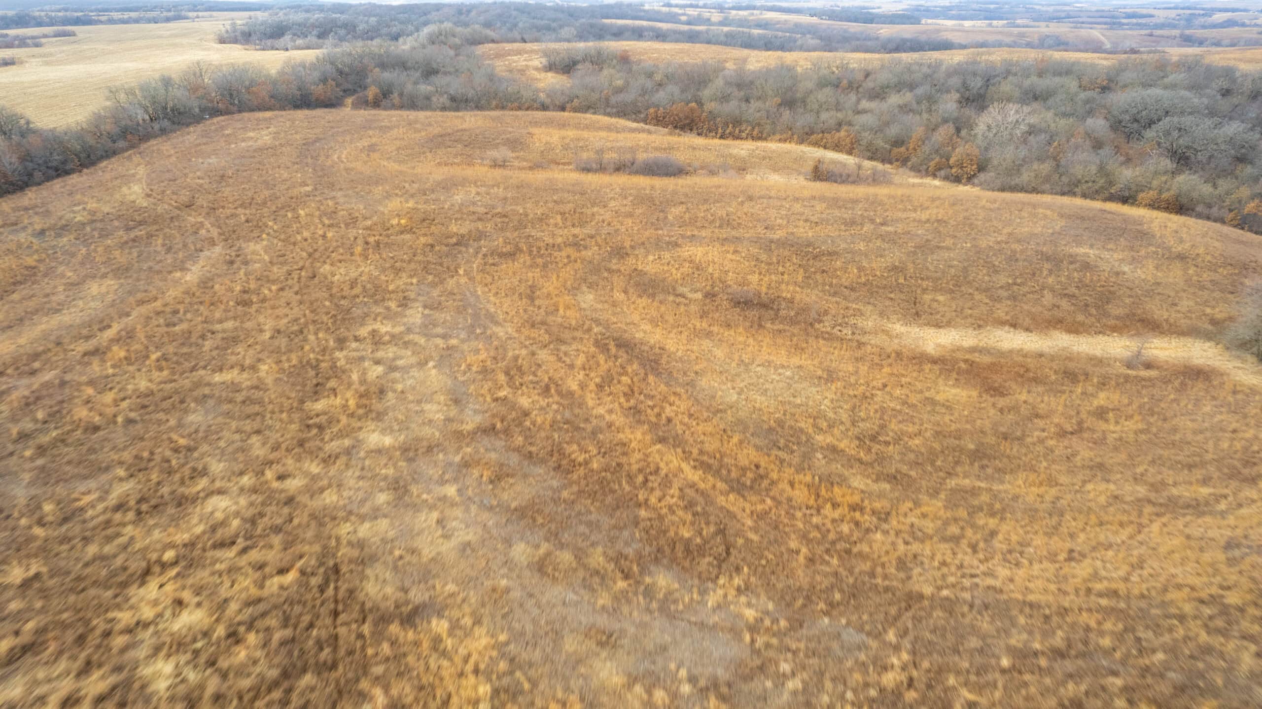Secluded 240+/- Acre Hunting & Recreational Tract in a Low-Pressure Area of Southern Iowa