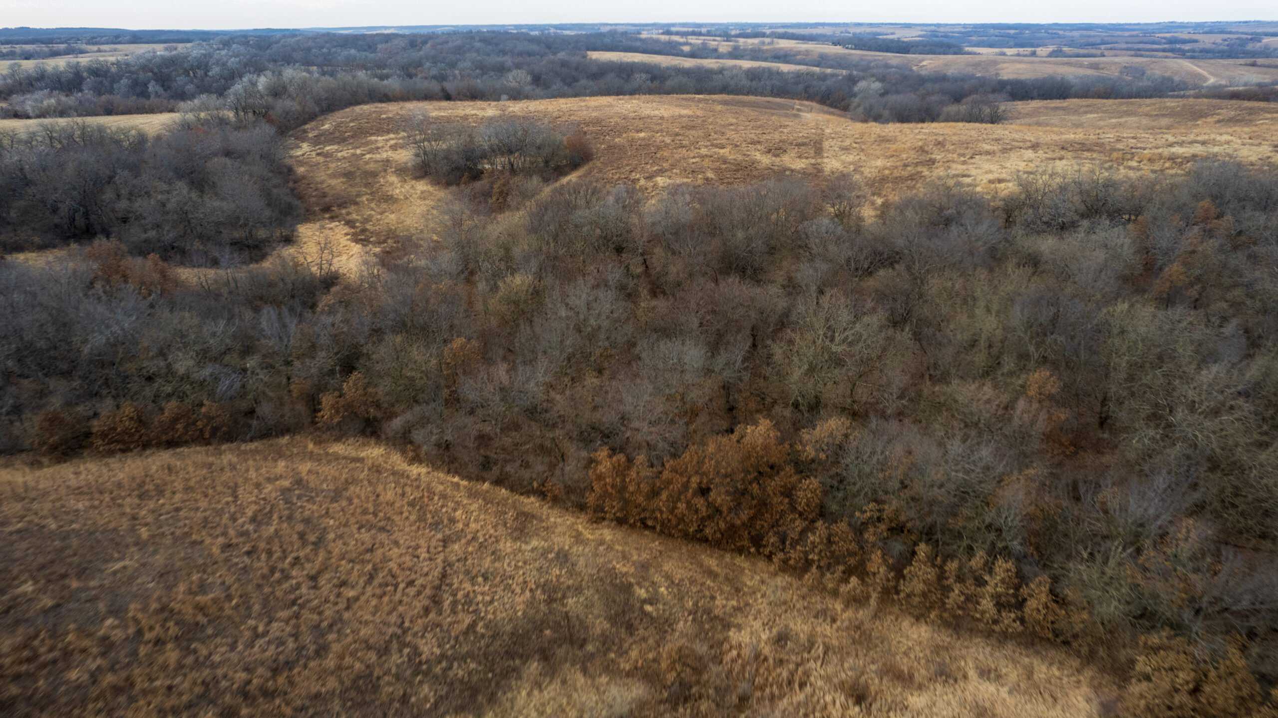 Secluded 240+/- Acre Hunting & Recreational Tract in a Low-Pressure Area of Southern Iowa
