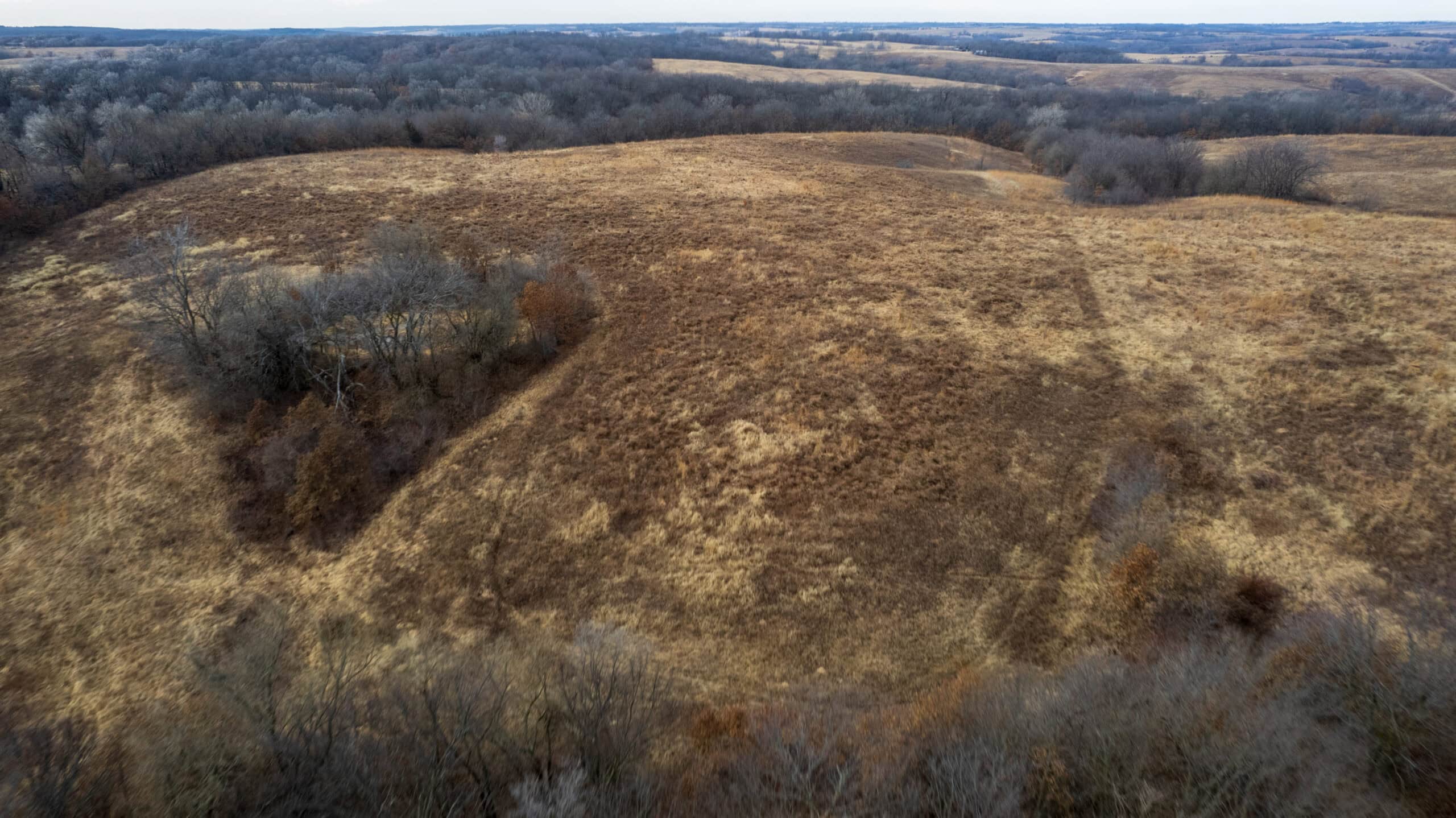 Secluded 240+/- Acre Hunting & Recreational Tract in a Low-Pressure Area of Southern Iowa