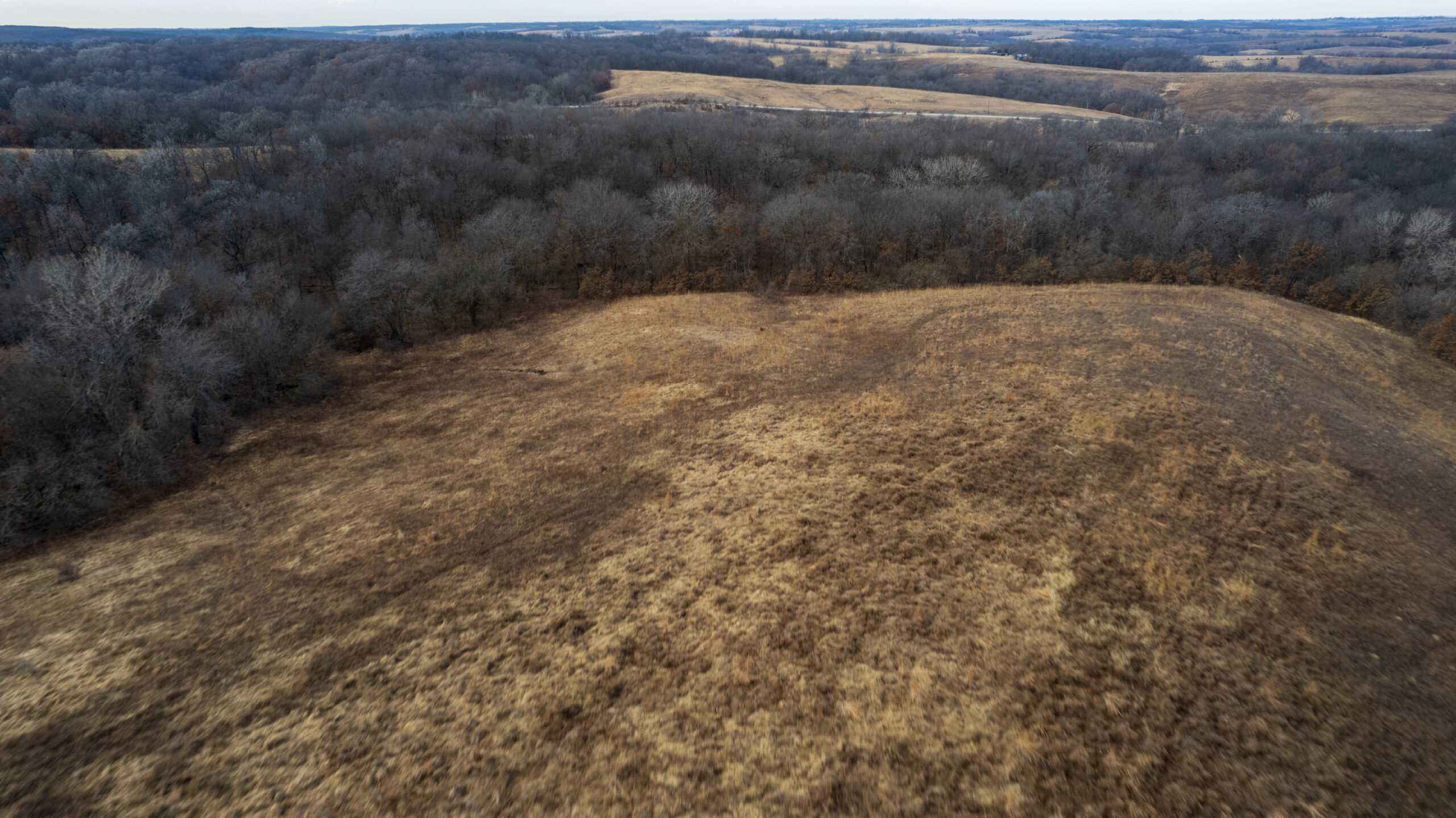 Secluded 240+/- Acre Hunting & Recreational Tract in a Low-Pressure Area of Southern Iowa