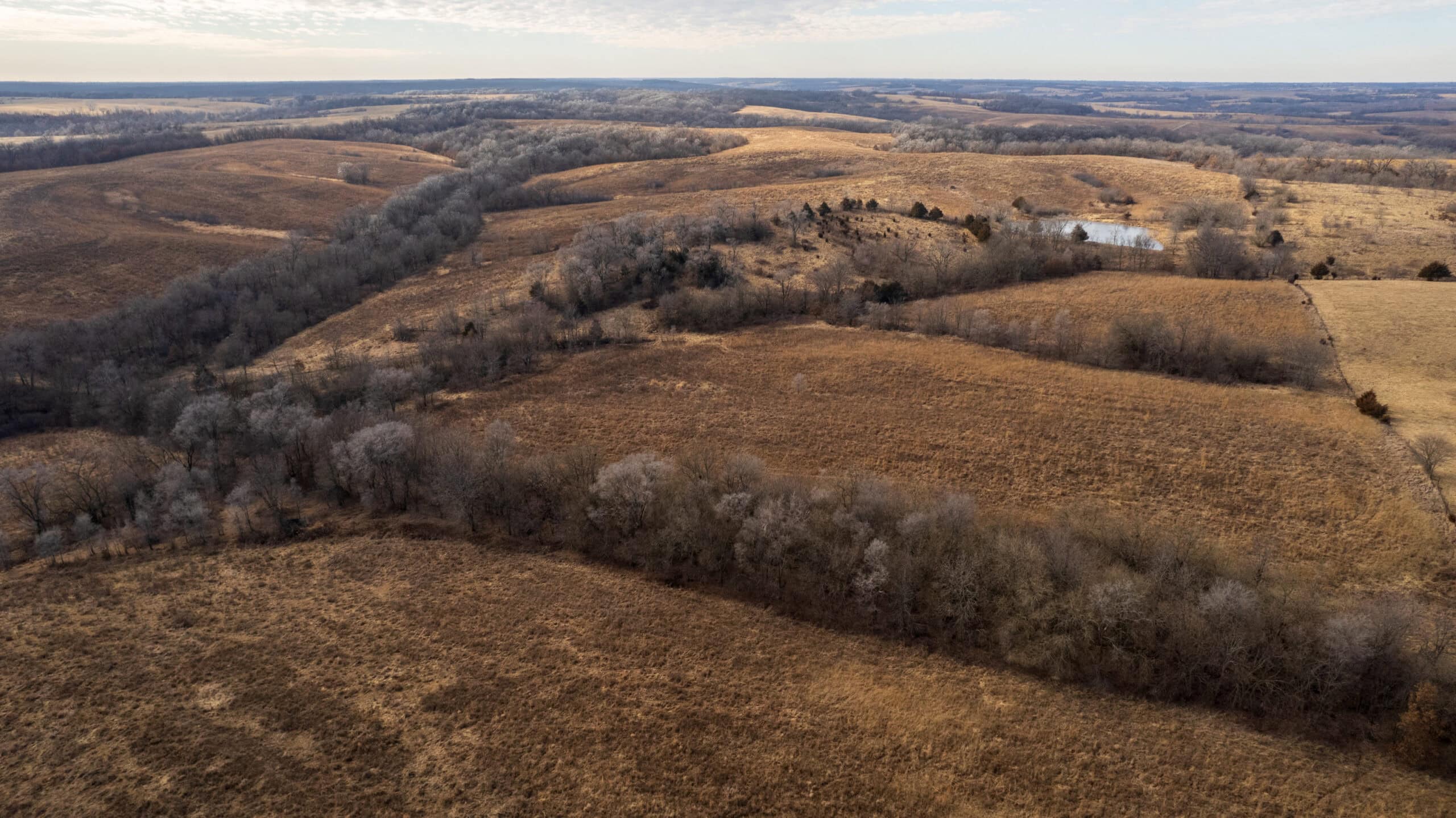 Secluded 240+/- Acre Hunting & Recreational Tract in a Low-Pressure Area of Southern Iowa
