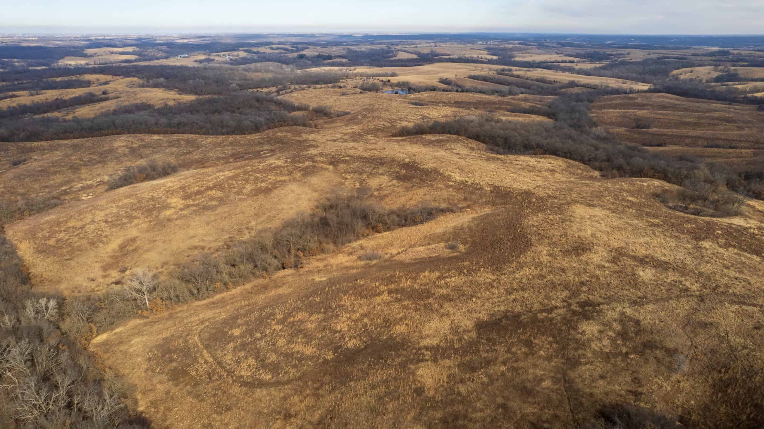 Secluded 240+/- Acre Hunting & Recreational Tract in a Low-Pressure Area of Southern Iowa