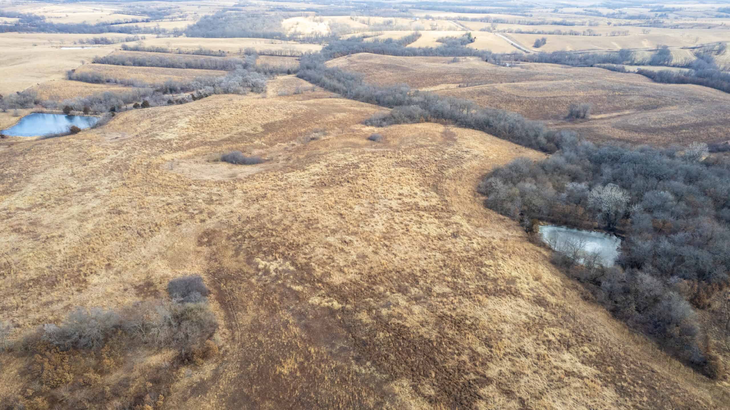 Secluded 240+/- Acre Hunting & Recreational Tract in a Low-Pressure Area of Southern Iowa