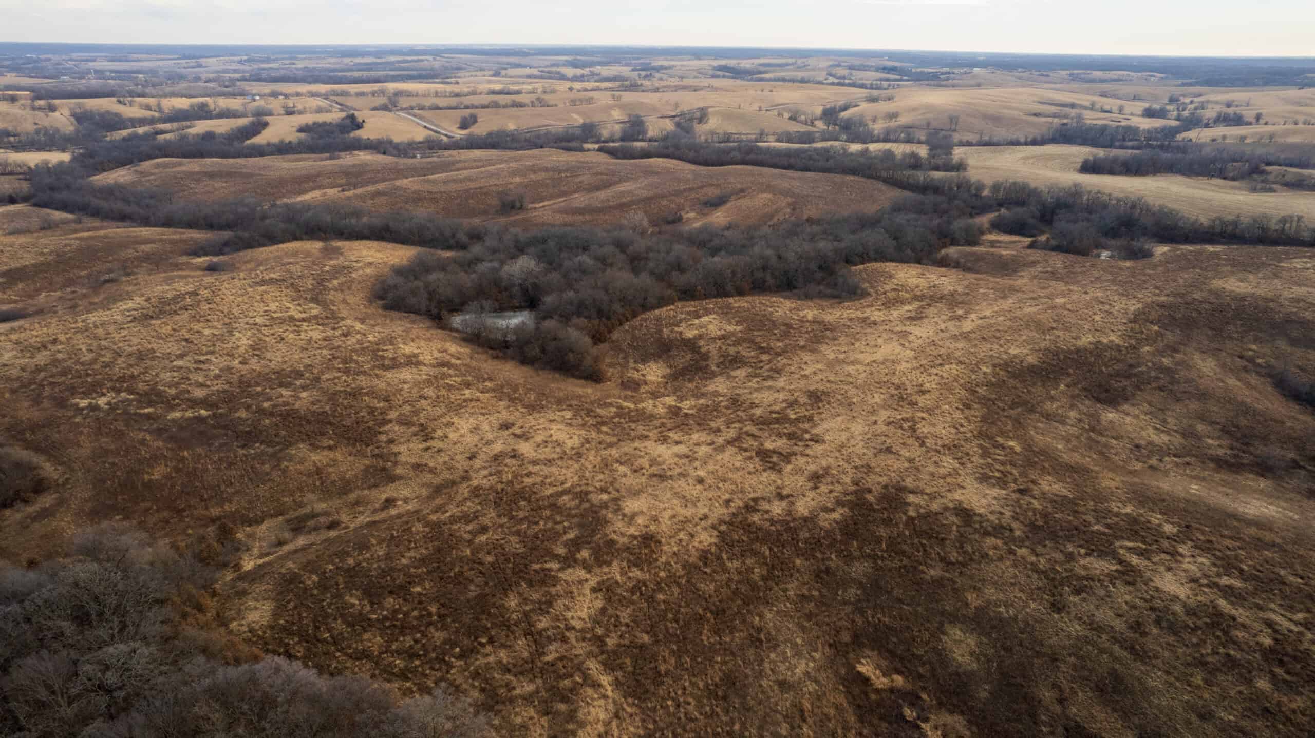 Secluded 240+/- Acre Hunting & Recreational Tract in a Low-Pressure Area of Southern Iowa