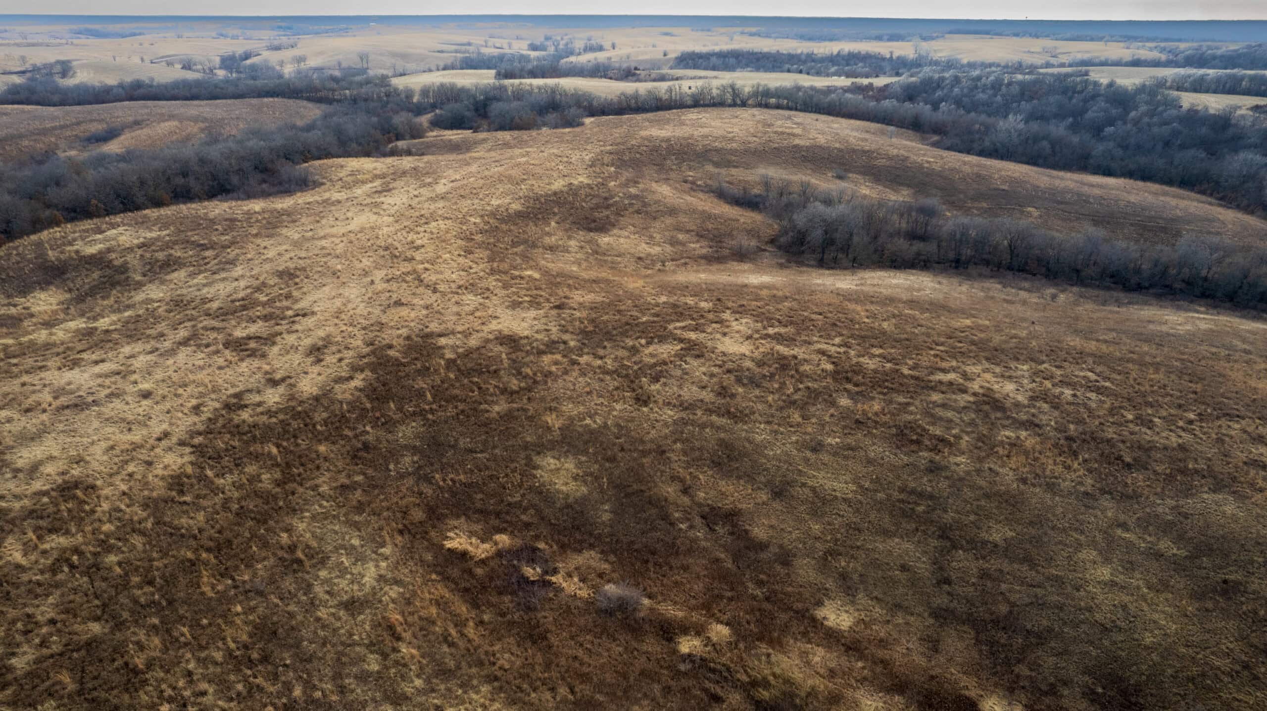 Secluded 240+/- Acre Hunting & Recreational Tract in a Low-Pressure Area of Southern Iowa