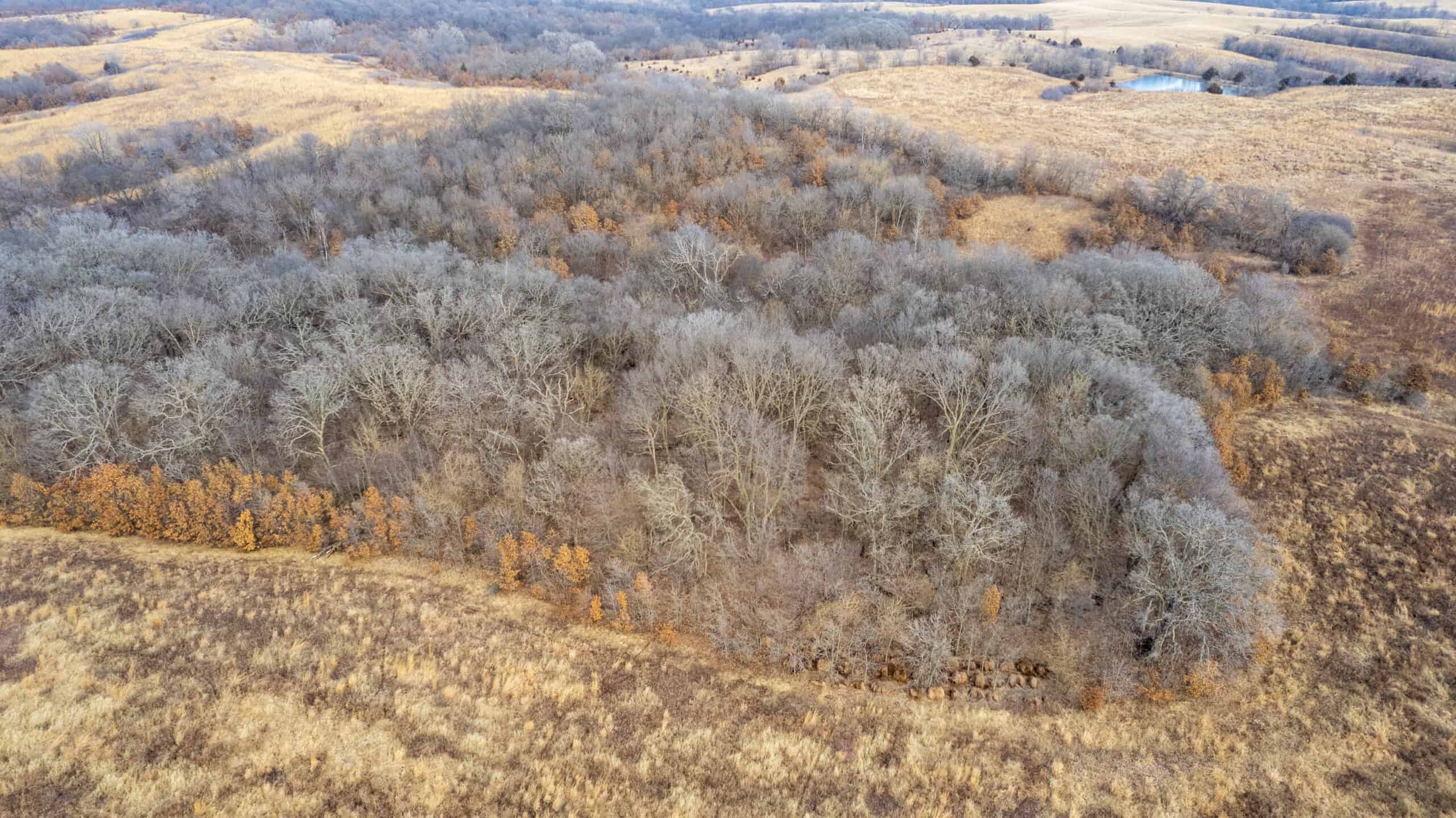 Secluded 240+/- Acre Hunting & Recreational Tract in a Low-Pressure Area of Southern Iowa