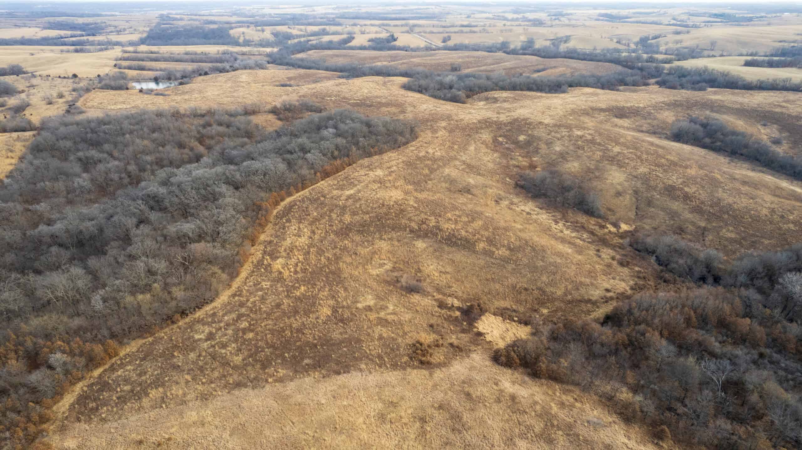 Secluded 240+/- Acre Hunting & Recreational Tract in a Low-Pressure Area of Southern Iowa