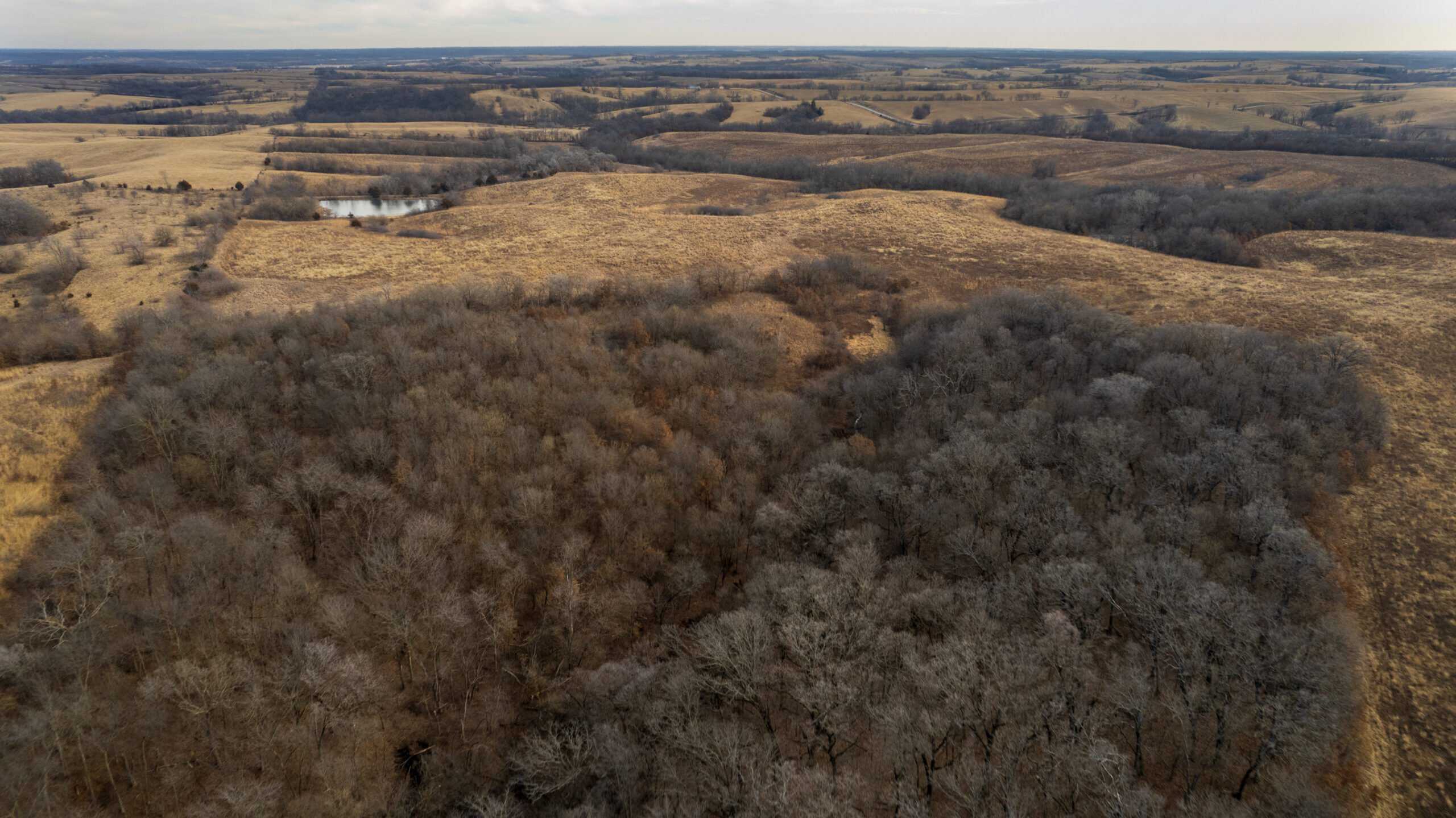 Secluded 240+/- Acre Hunting & Recreational Tract in a Low-Pressure Area of Southern Iowa