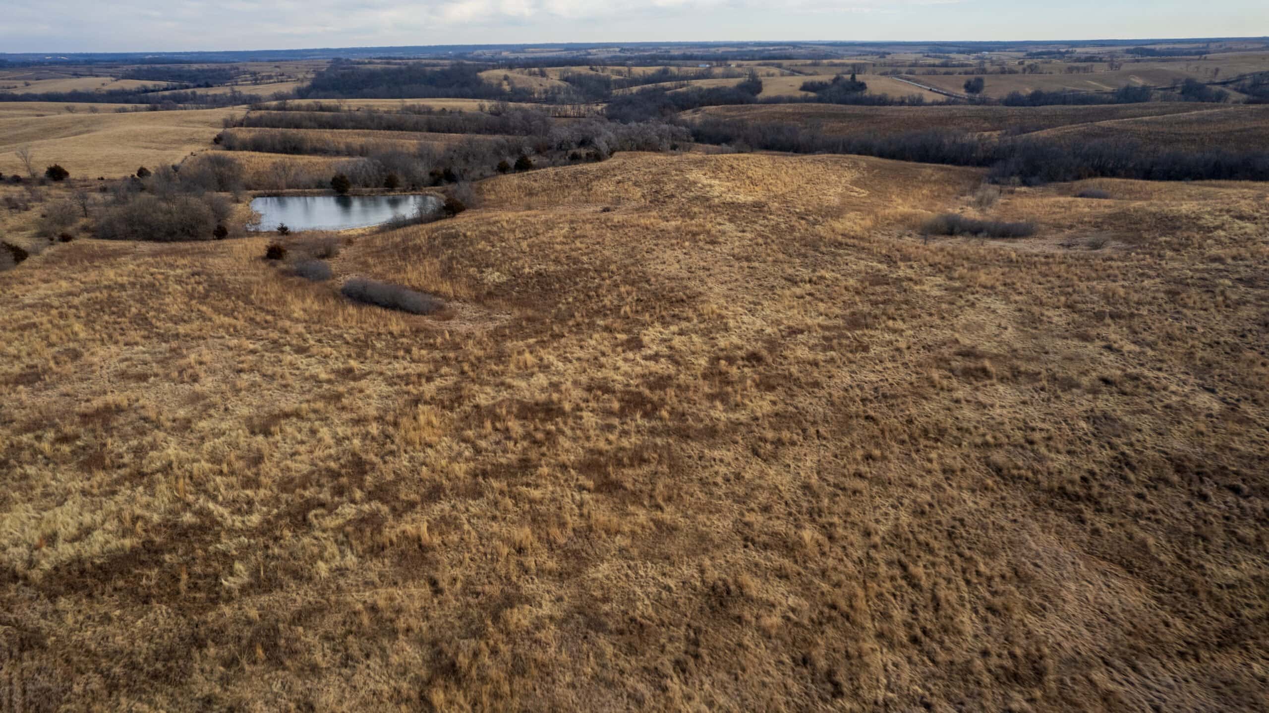 Secluded 240+/- Acre Hunting & Recreational Tract in a Low-Pressure Area of Southern Iowa