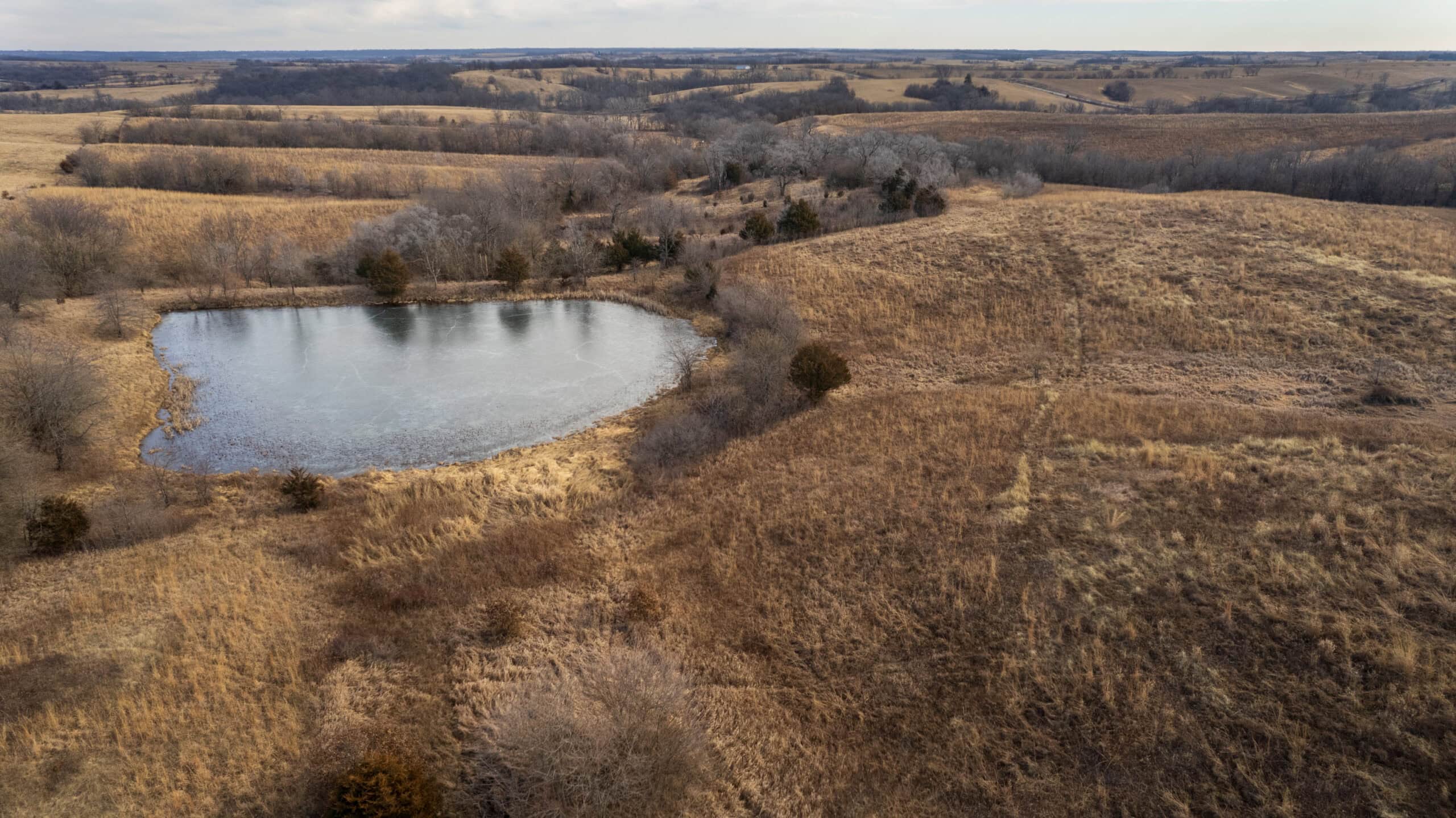 Secluded 240+/- Acre Hunting & Recreational Tract in a Low-Pressure Area of Southern Iowa