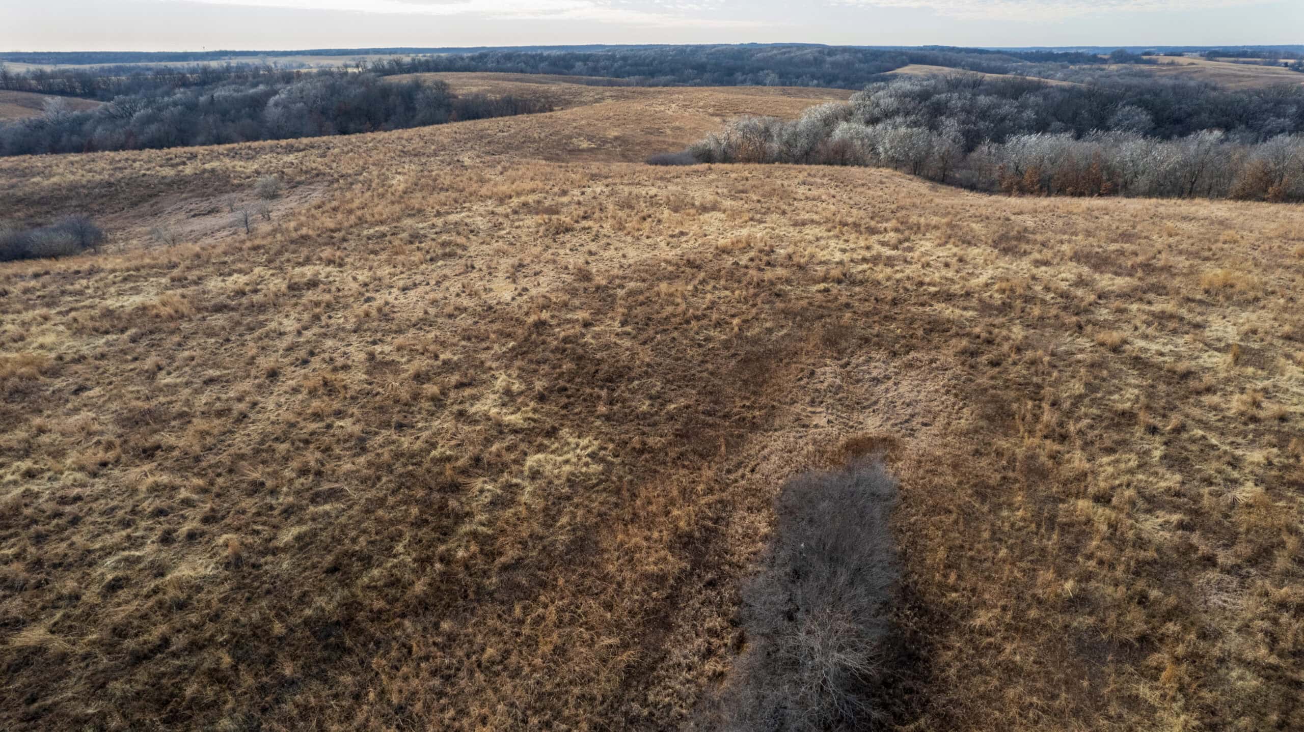 Secluded 240+/- Acre Hunting & Recreational Tract in a Low-Pressure Area of Southern Iowa