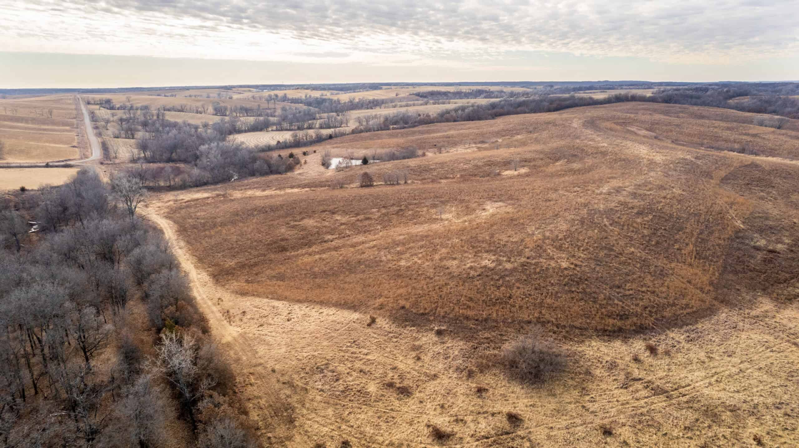 Secluded 240+/- Acre Hunting & Recreational Tract in a Low-Pressure Area of Southern Iowa
