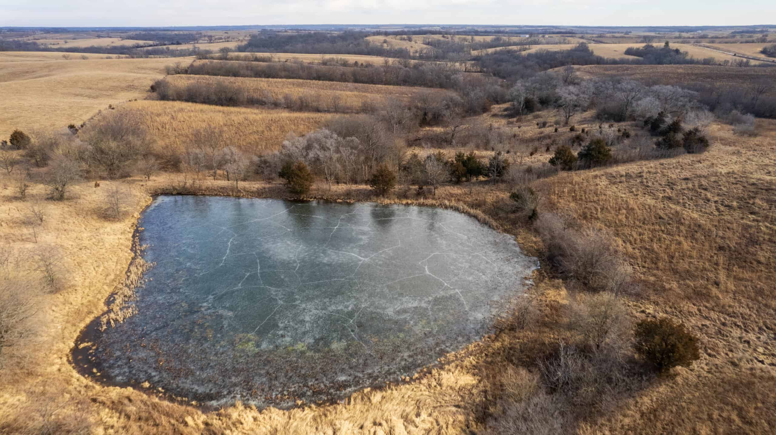 Secluded 240+/- Acre Hunting & Recreational Tract in a Low-Pressure Area of Southern Iowa