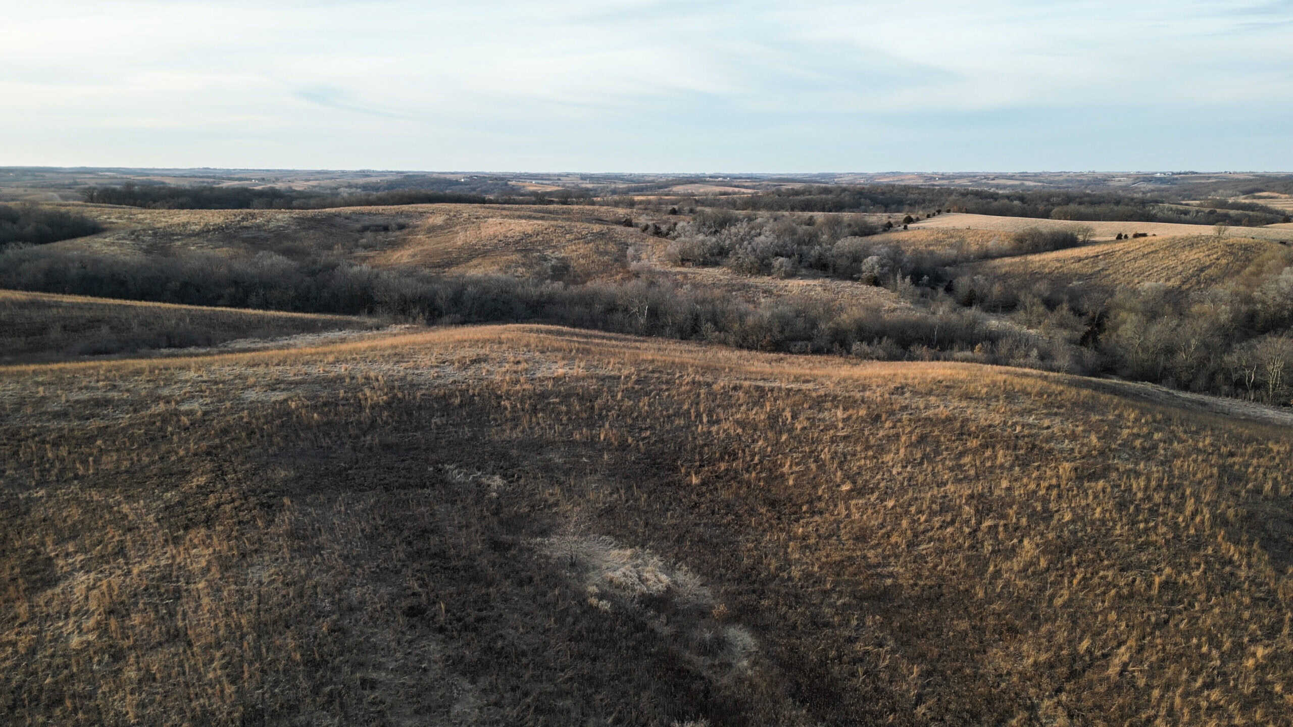 Secluded 240+/- Acre Hunting & Recreational Tract in a Low-Pressure Area of Southern Iowa