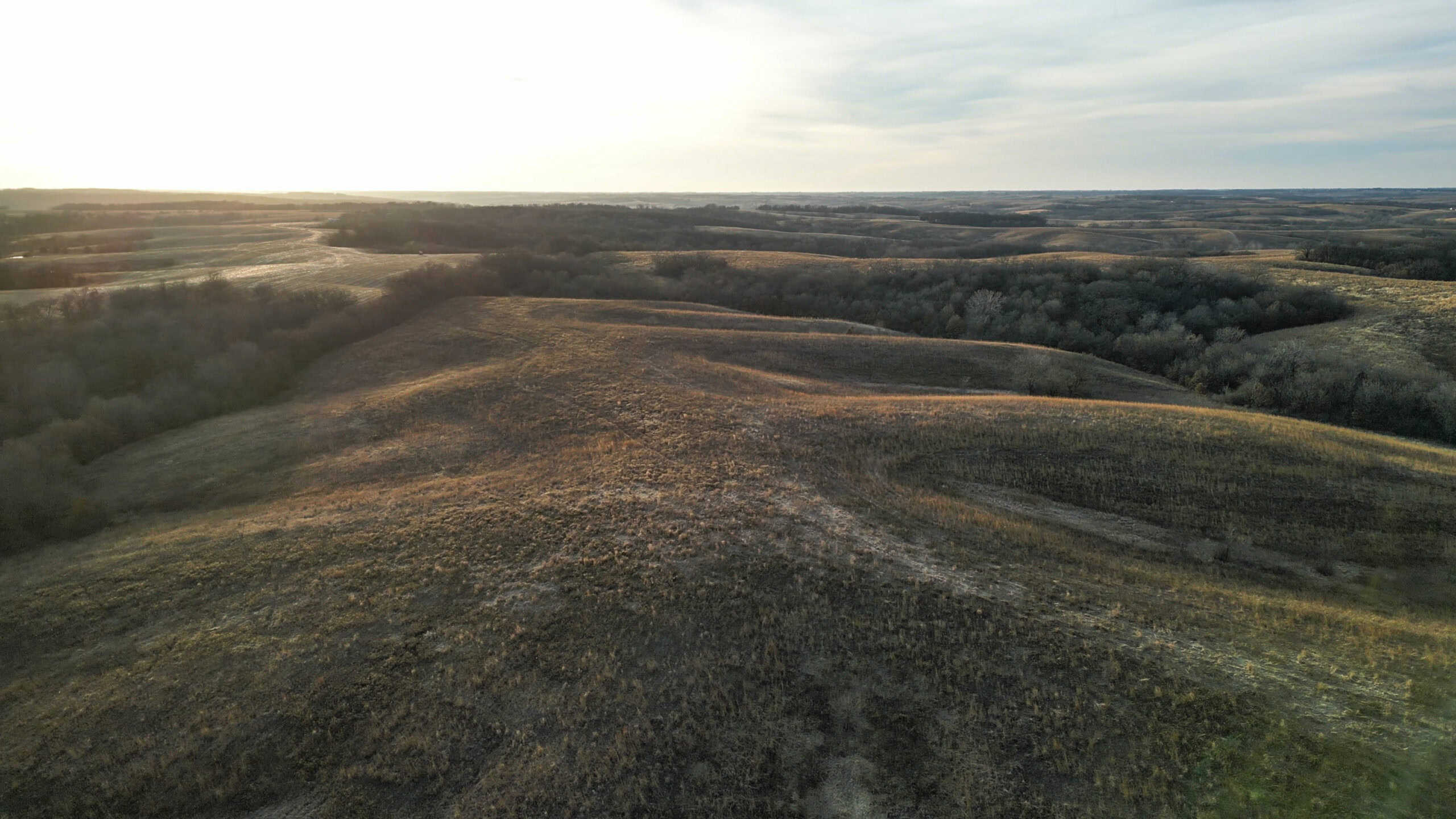Secluded 240+/- Acre Hunting & Recreational Tract in a Low-Pressure Area of Southern Iowa