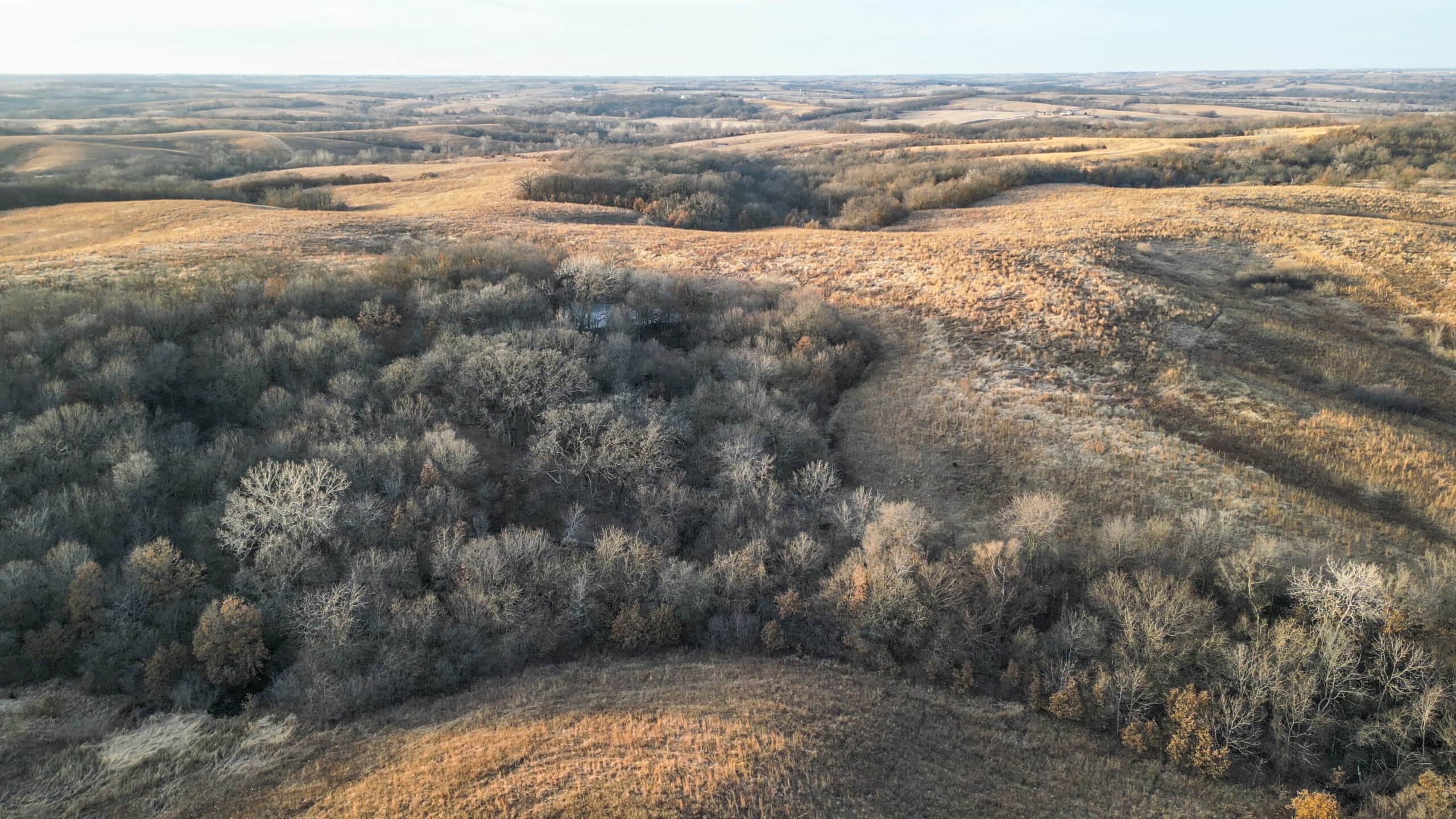 Secluded 240+/- Acre Hunting & Recreational Tract in a Low-Pressure Area of Southern Iowa
