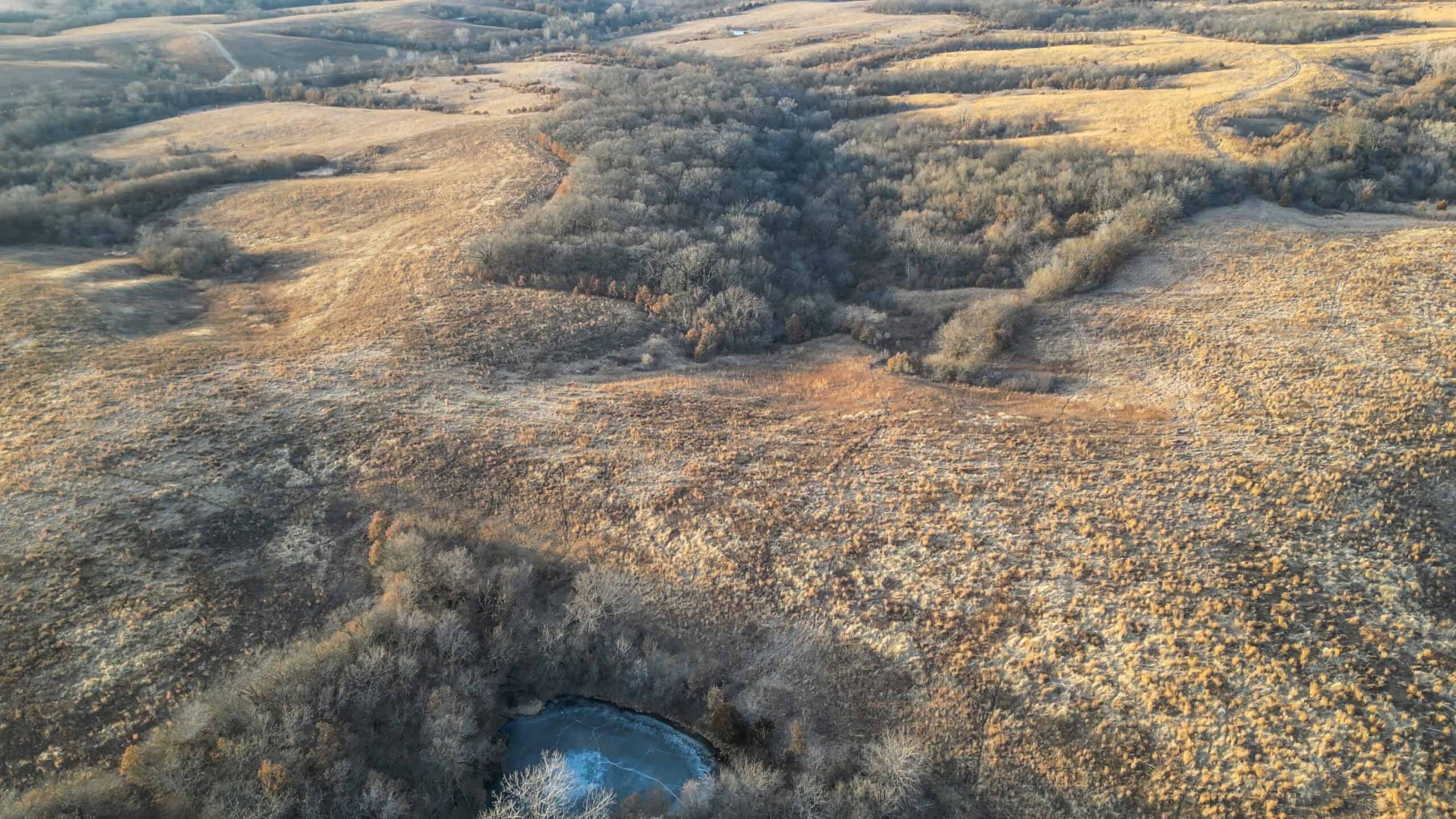 Secluded 240+/- Acre Hunting & Recreational Tract in a Low-Pressure Area of Southern Iowa