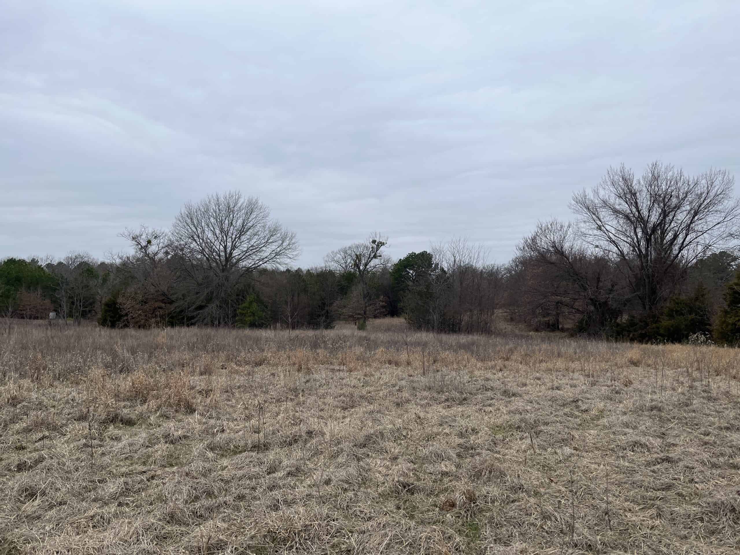 20-Acre Hunter’s Paradise in Southeastern Oklahoma-Prime location & Utilities Ready