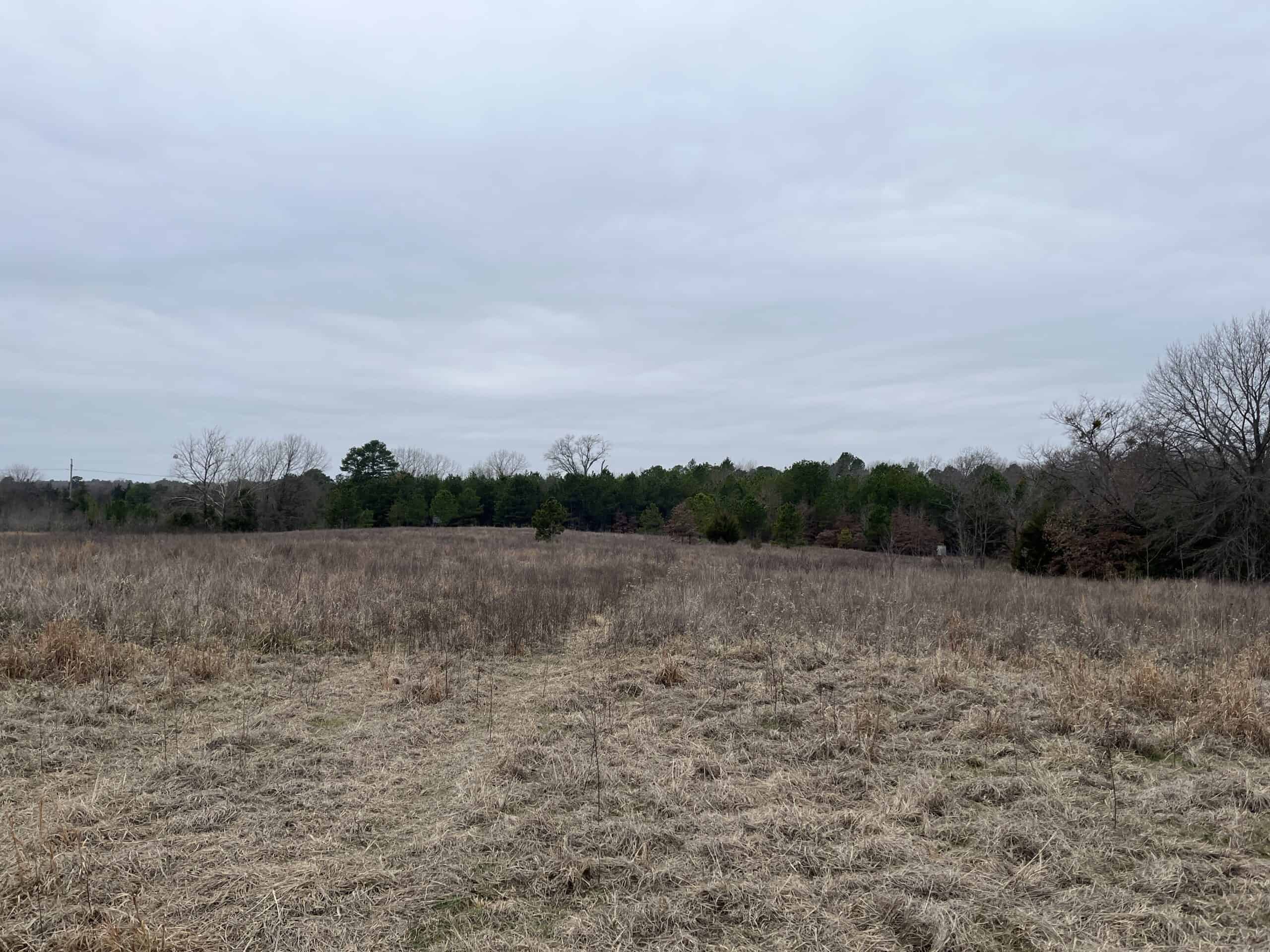 20-Acre Hunter’s Paradise in Southeastern Oklahoma-Prime location & Utilities Ready