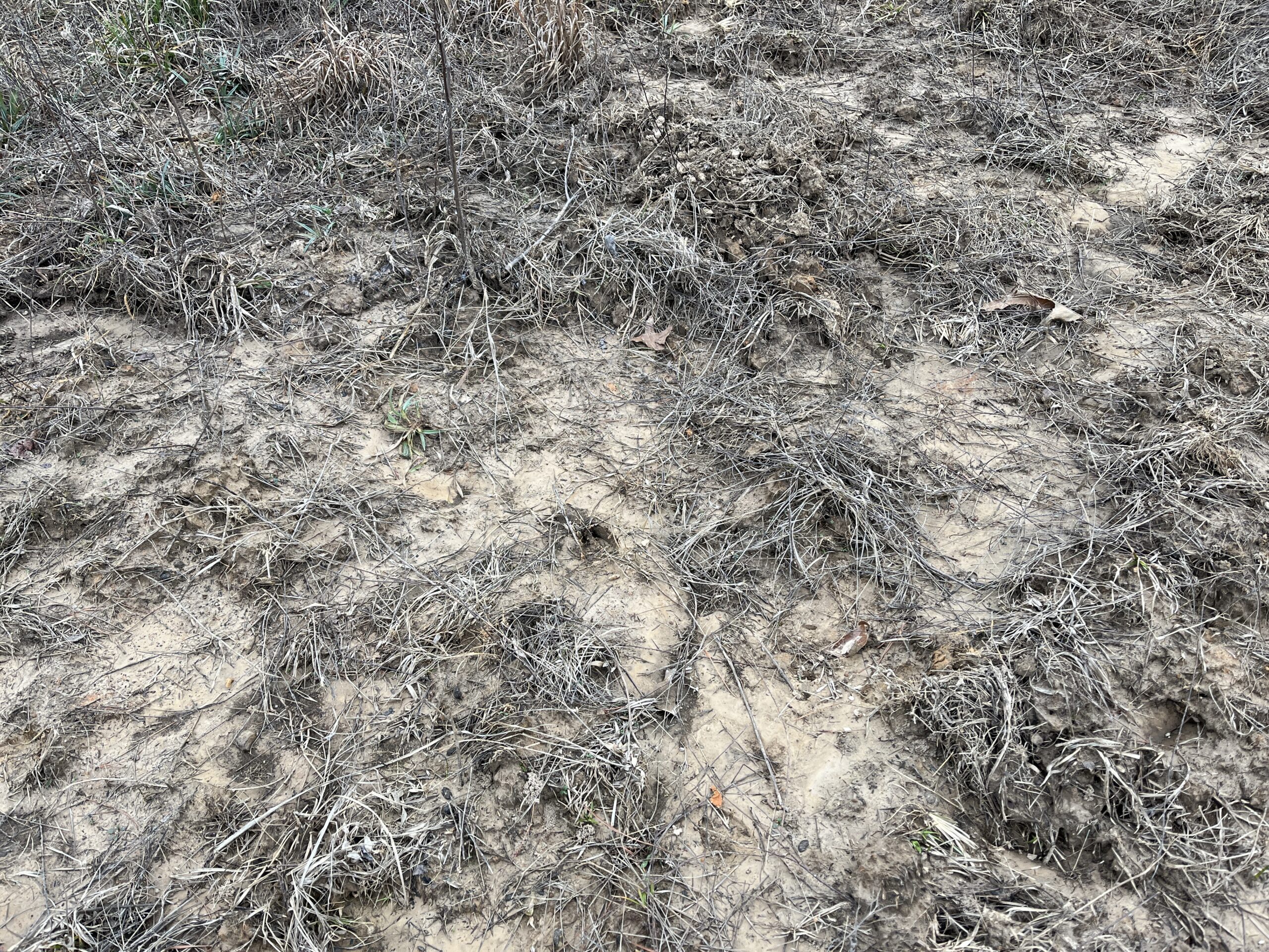 20-Acre Hunter’s Paradise in Southeastern Oklahoma-Prime location & Utilities Ready