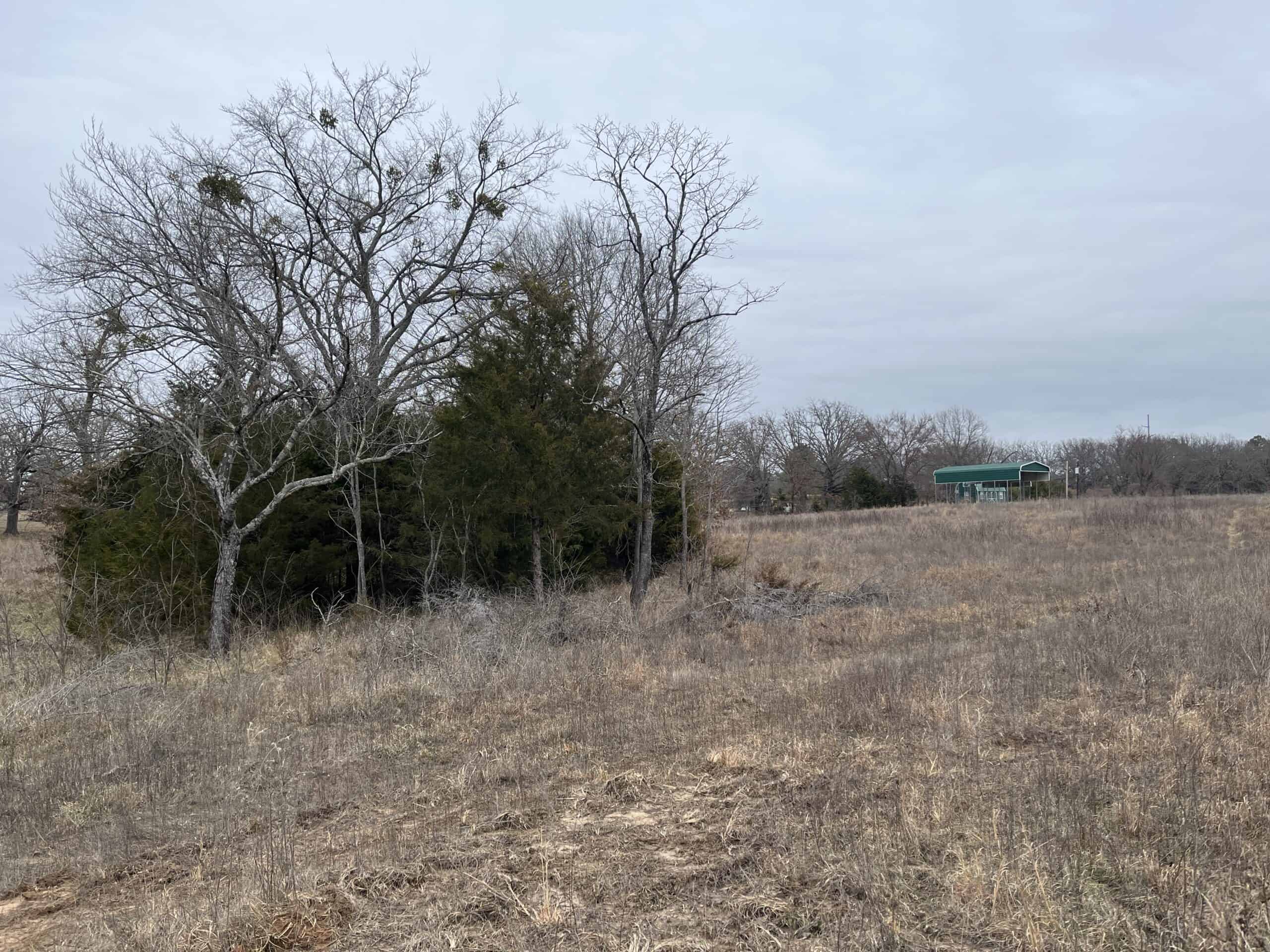 20-Acre Hunter’s Paradise in Southeastern Oklahoma-Prime location & Utilities Ready