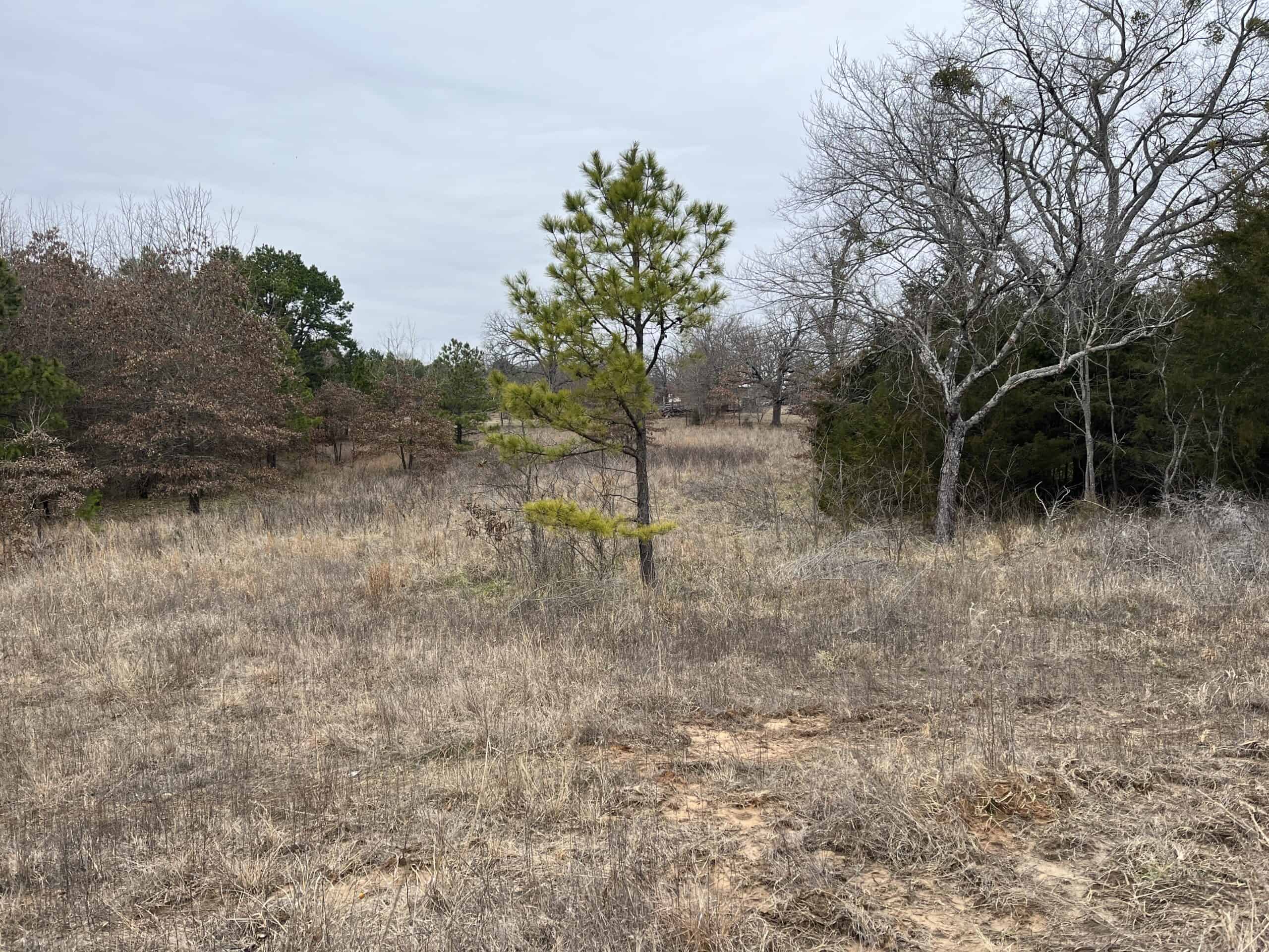 20-Acre Hunter’s Paradise in Southeastern Oklahoma-Prime location & Utilities Ready