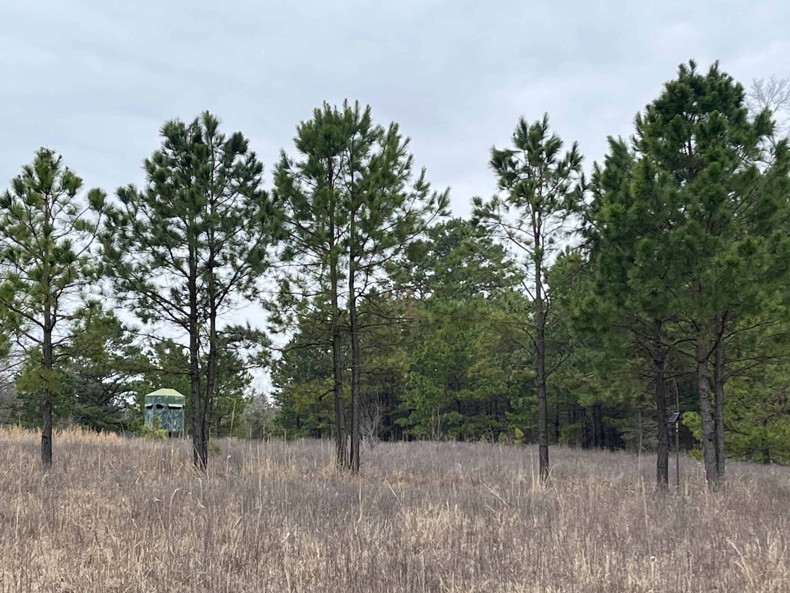 20-Acre Hunter’s Paradise in Southeastern Oklahoma-Prime location & Utilities Ready