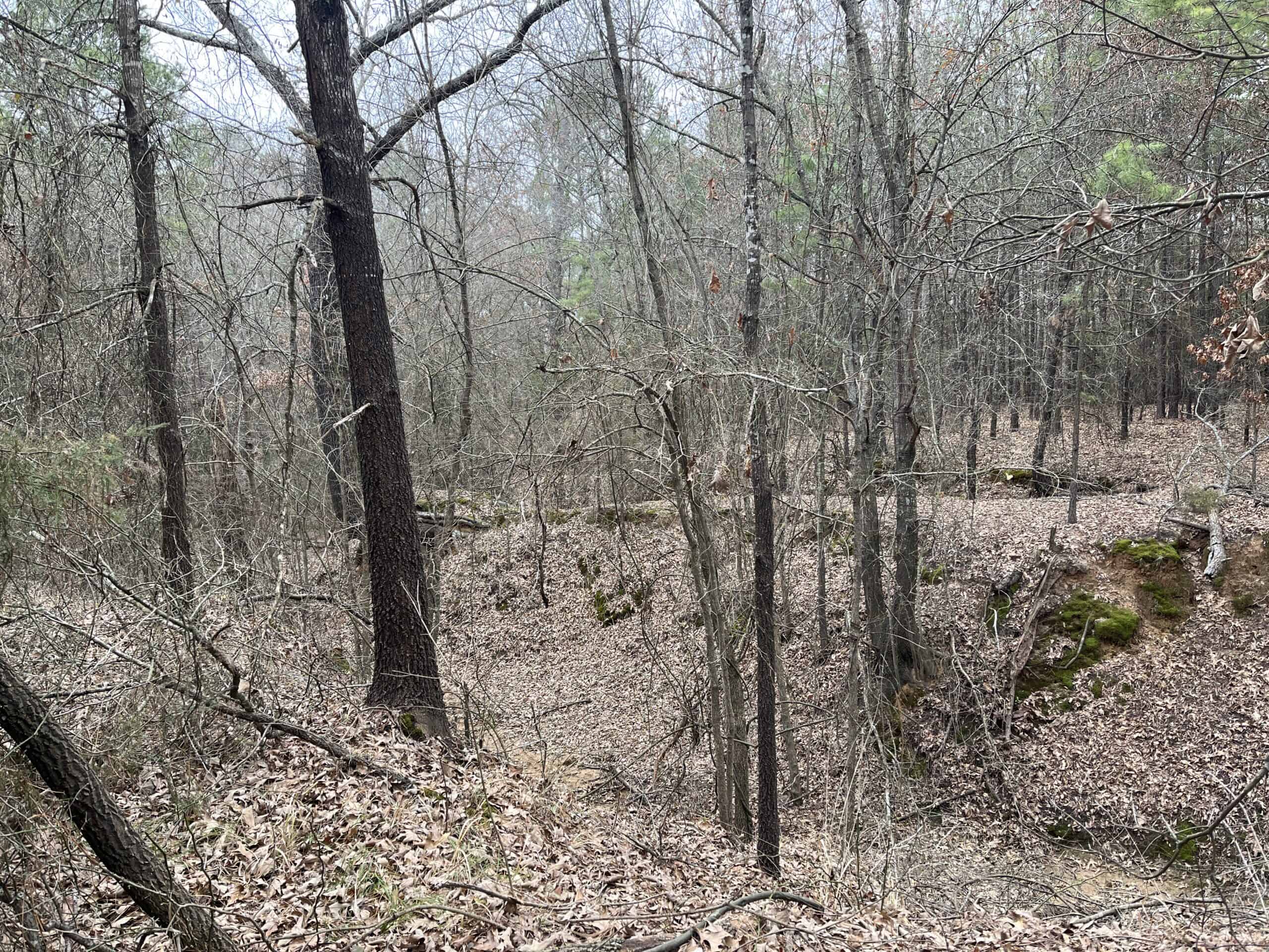 20-Acre Hunter’s Paradise in Southeastern Oklahoma-Prime location & Utilities Ready