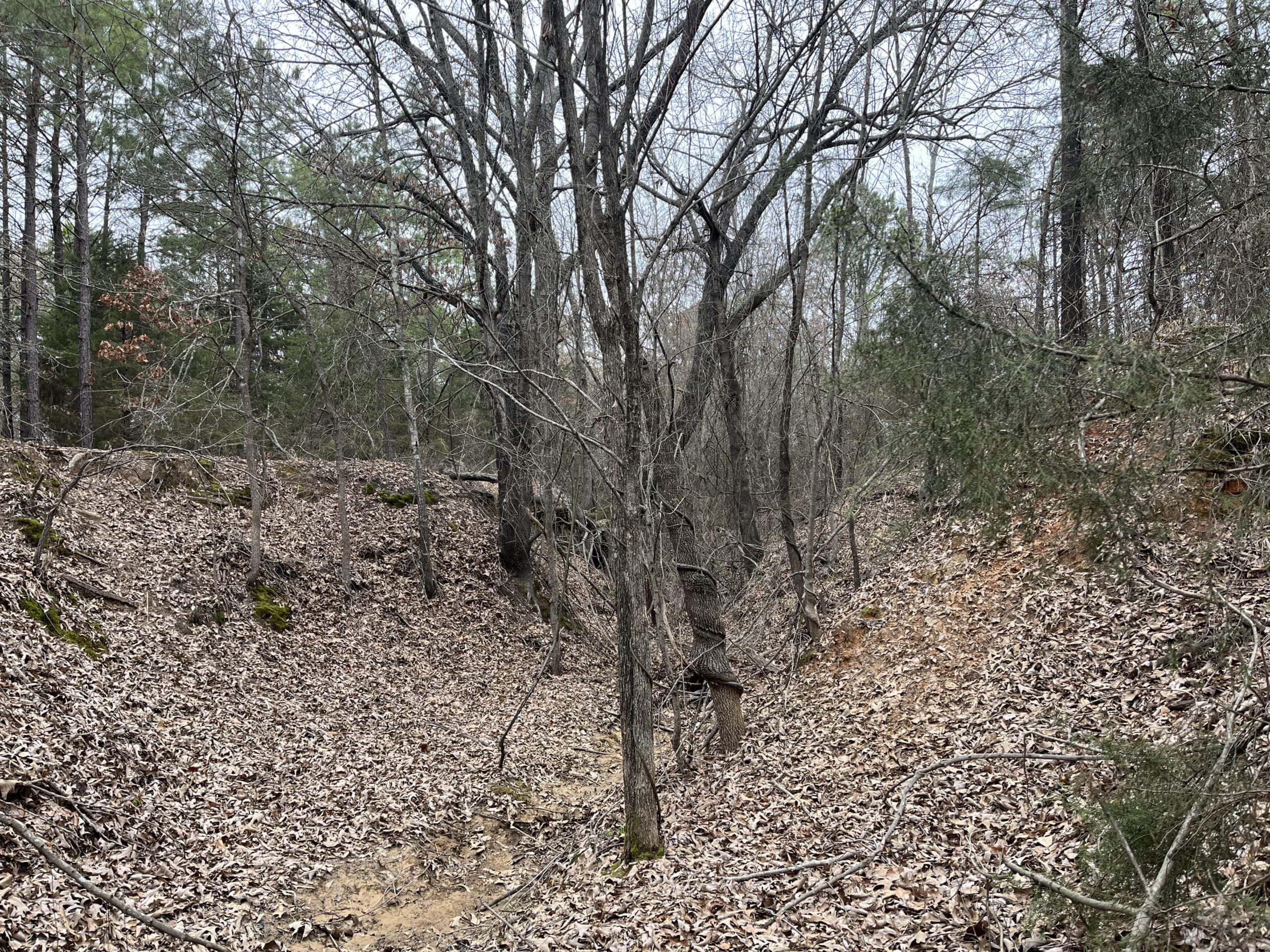 20-Acre Hunter’s Paradise in Southeastern Oklahoma-Prime location & Utilities Ready
