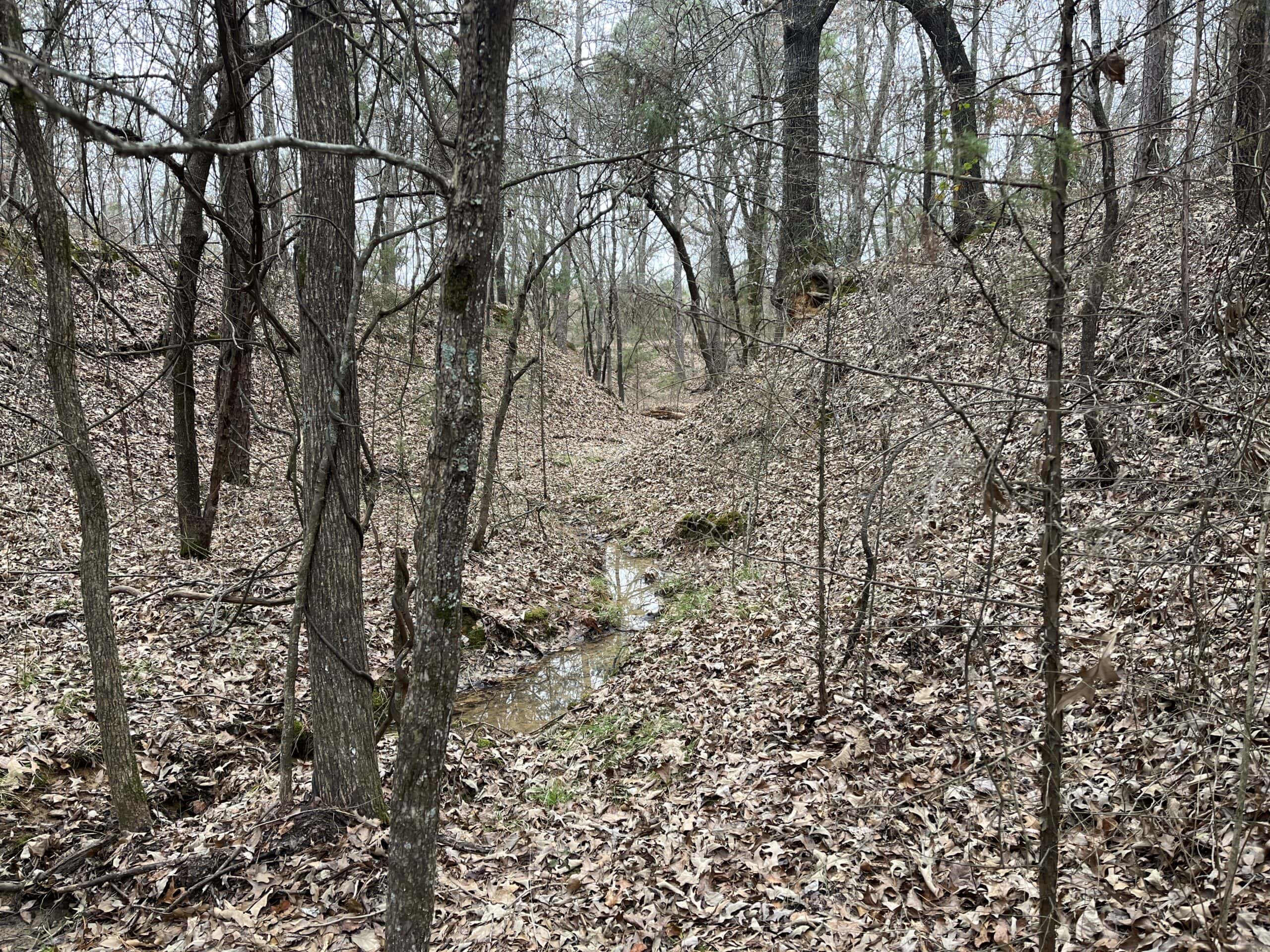20-Acre Hunter’s Paradise in Southeastern Oklahoma-Prime location & Utilities Ready