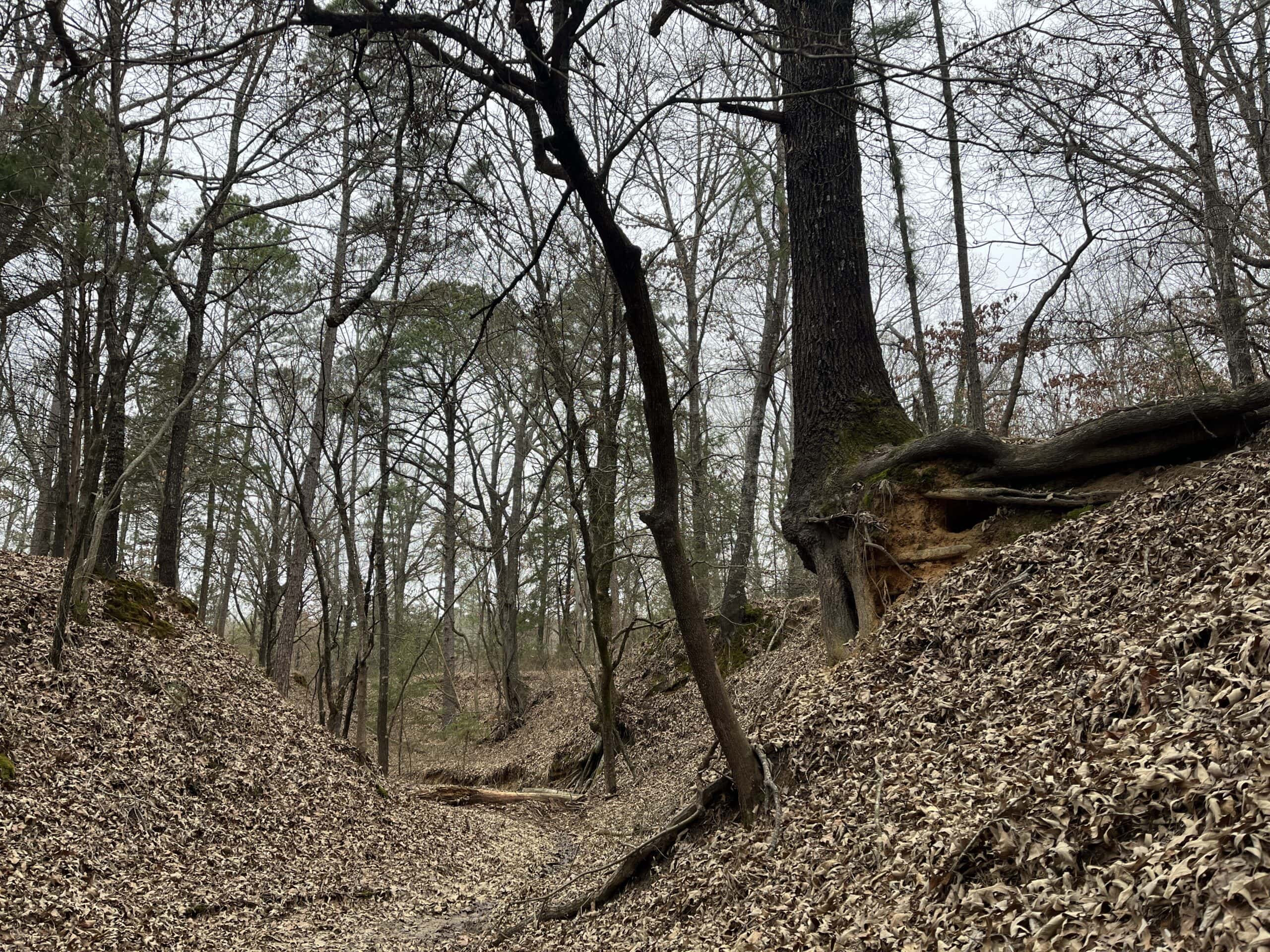 20-Acre Hunter’s Paradise in Southeastern Oklahoma-Prime location & Utilities Ready