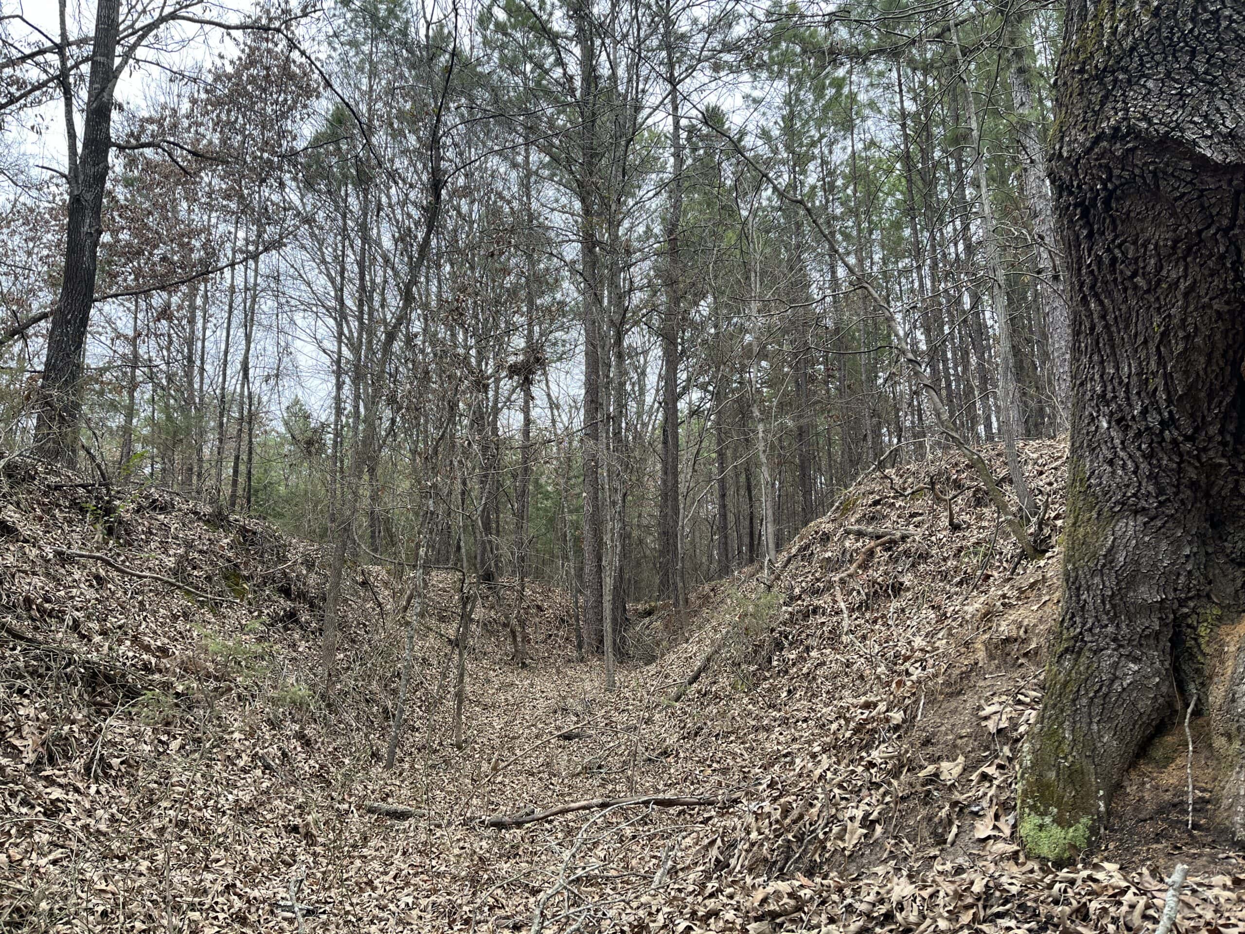20-Acre Hunter’s Paradise in Southeastern Oklahoma-Prime location & Utilities Ready