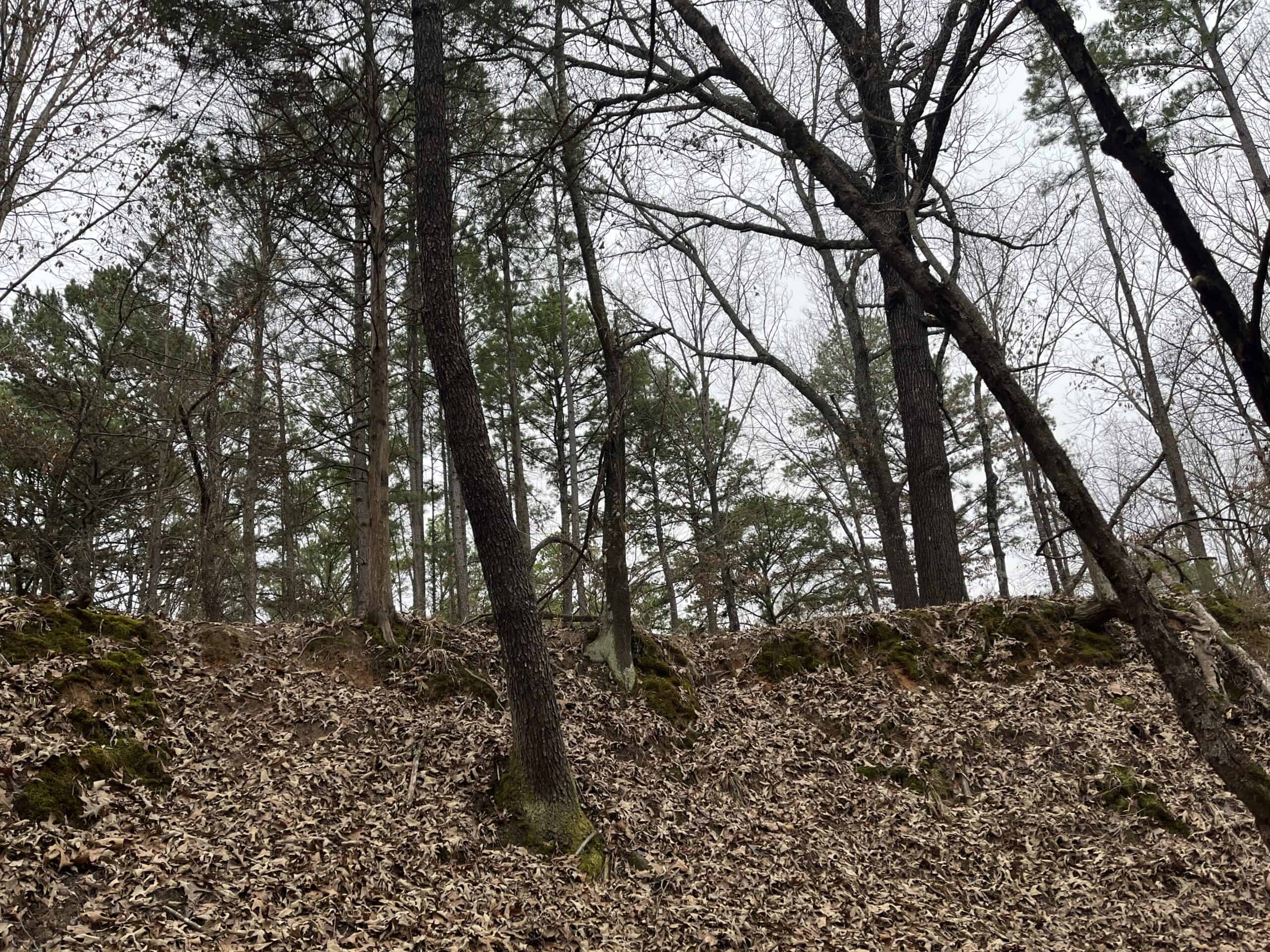 20-Acre Hunter’s Paradise in Southeastern Oklahoma-Prime location & Utilities Ready