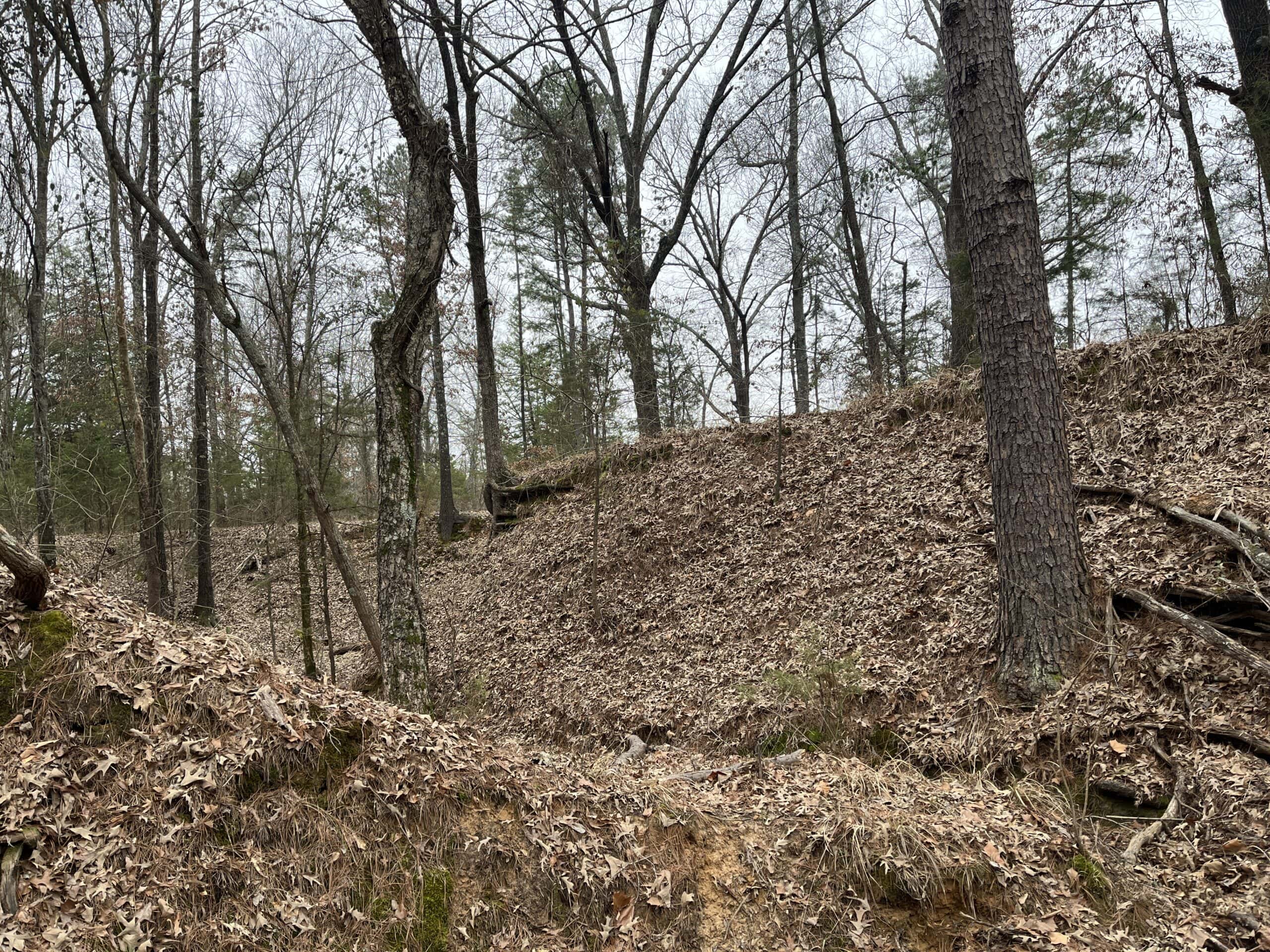 20-Acre Hunter’s Paradise in Southeastern Oklahoma-Prime location & Utilities Ready