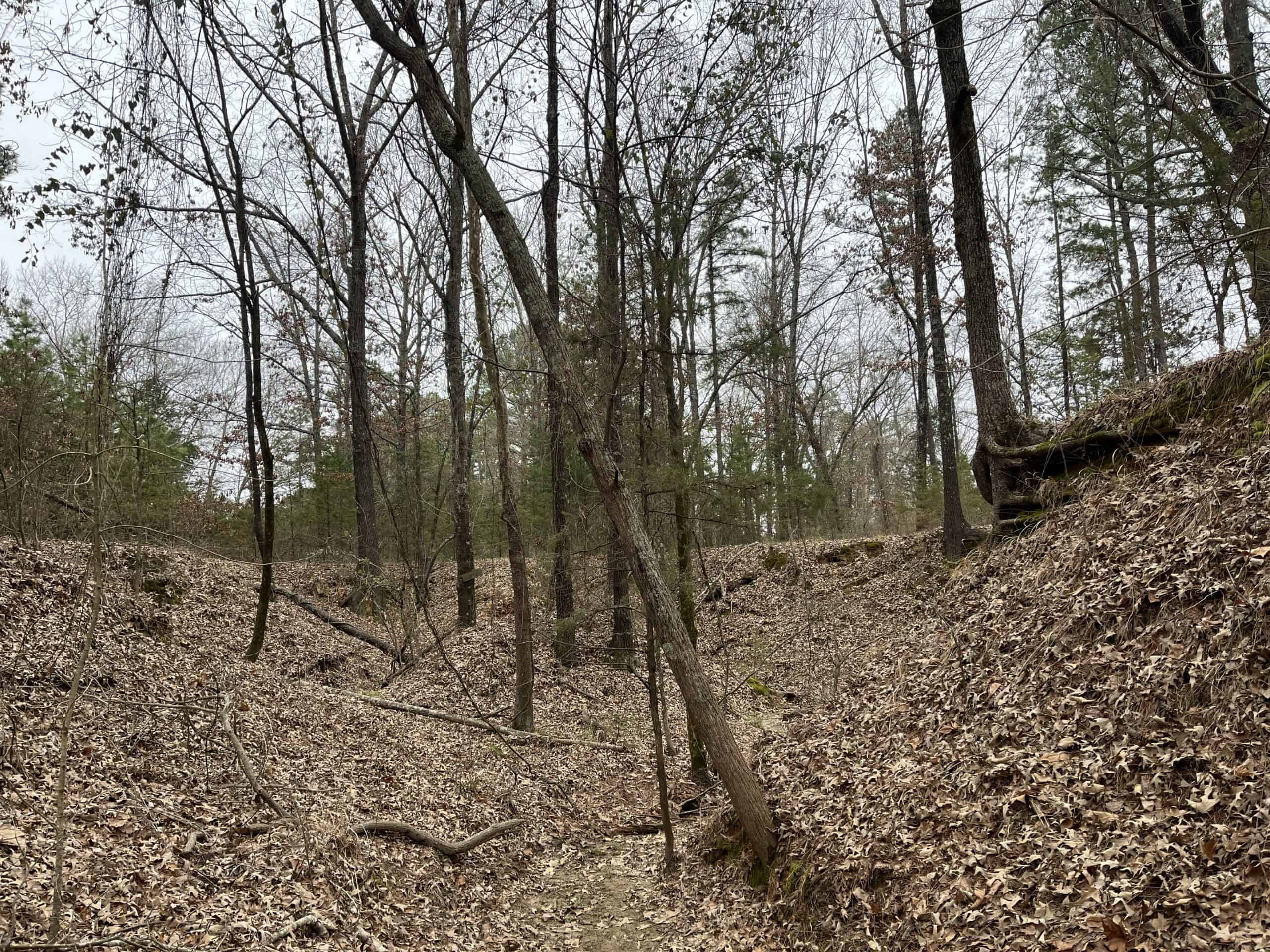20-Acre Hunter’s Paradise in Southeastern Oklahoma-Prime location & Utilities Ready