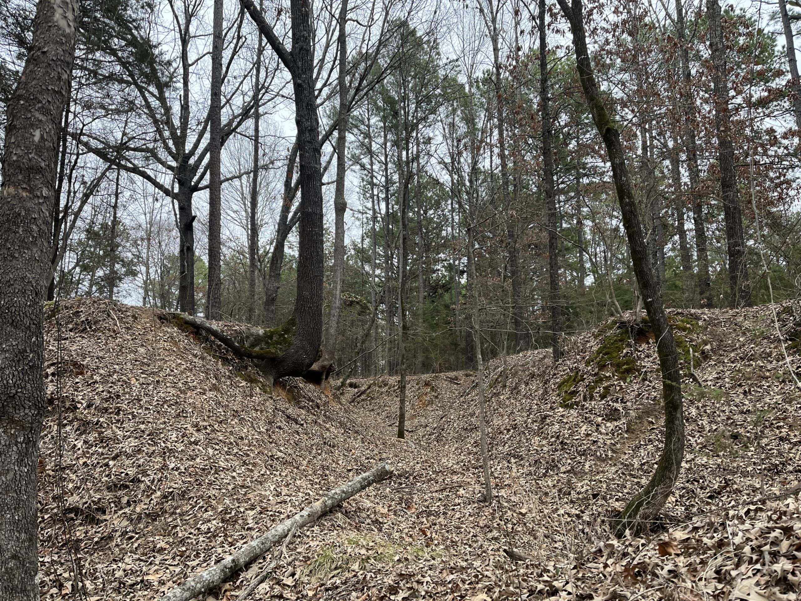 20-Acre Hunter’s Paradise in Southeastern Oklahoma-Prime location & Utilities Ready