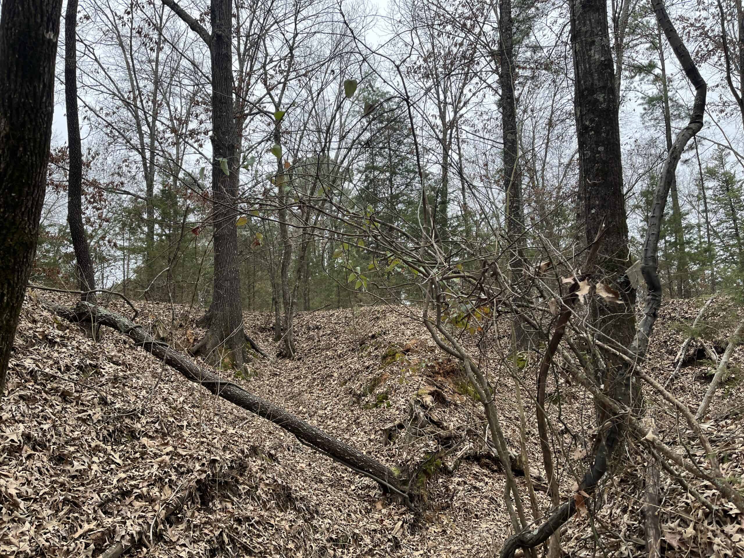 20-Acre Hunter’s Paradise in Southeastern Oklahoma-Prime location & Utilities Ready