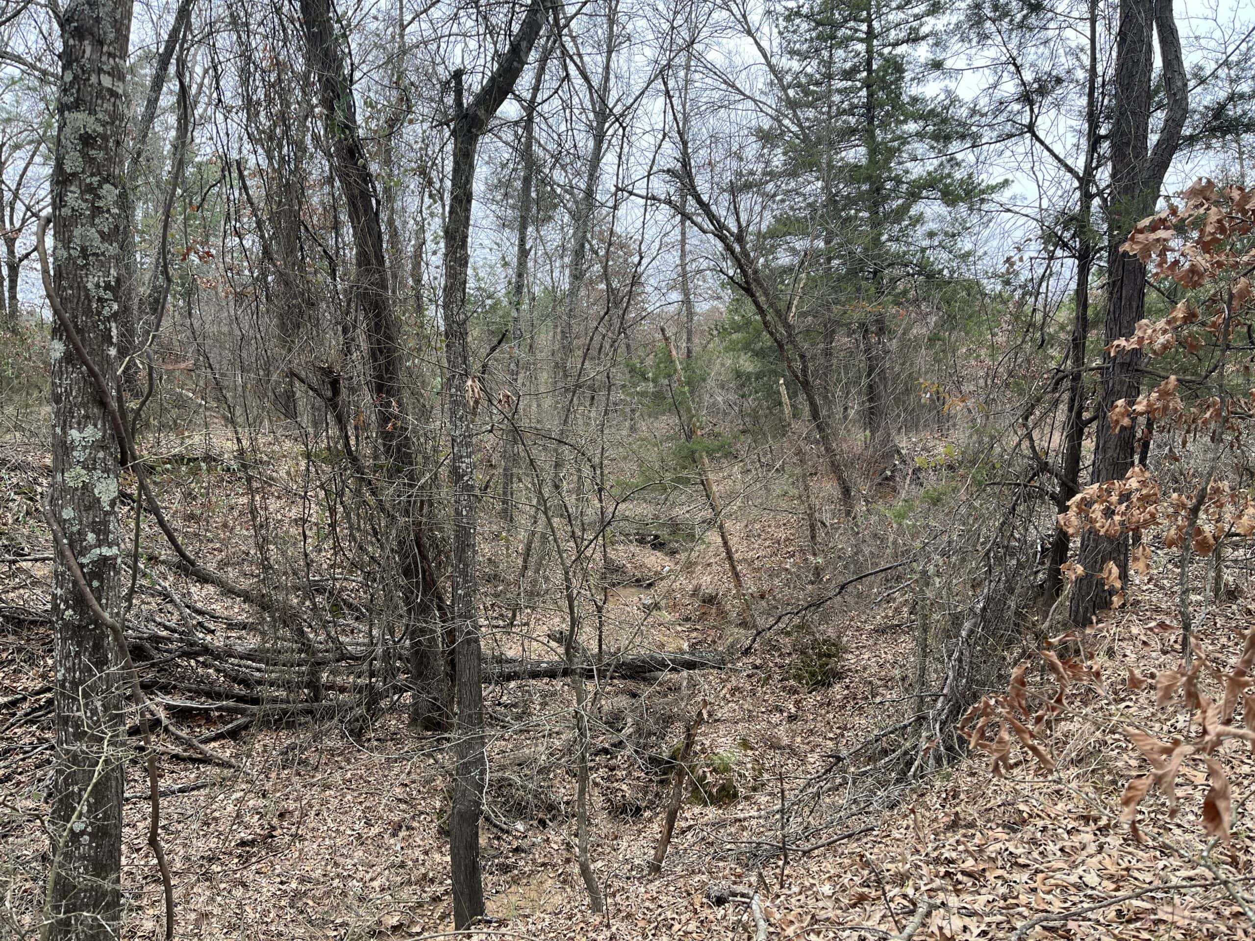 20-Acre Hunter’s Paradise in Southeastern Oklahoma-Prime location & Utilities Ready