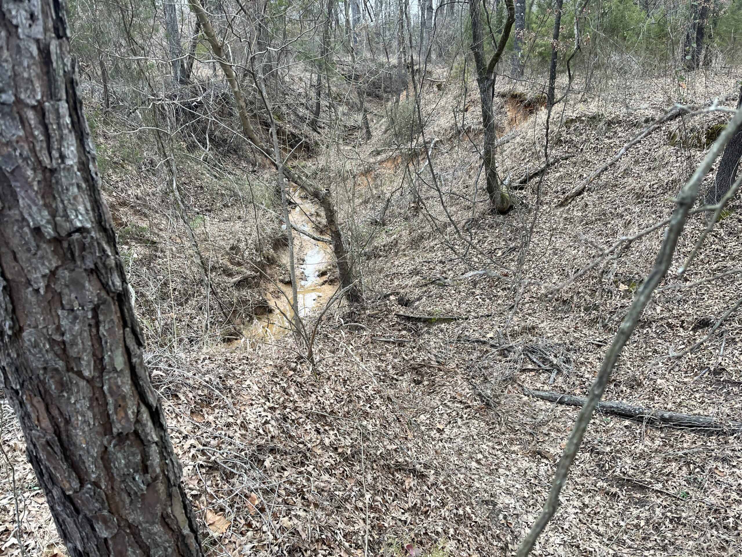 20-Acre Hunter’s Paradise in Southeastern Oklahoma-Prime location & Utilities Ready