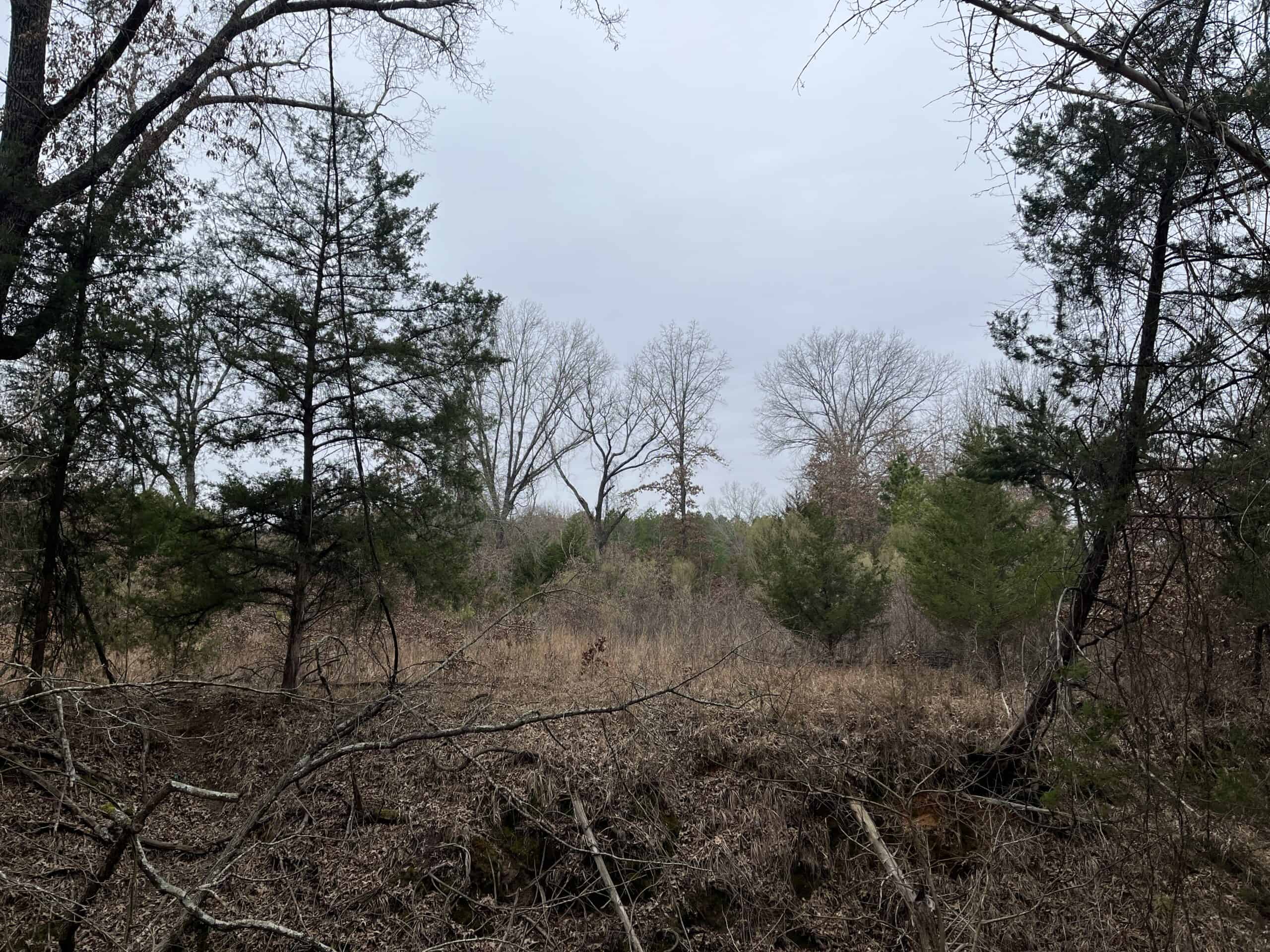 20-Acre Hunter’s Paradise in Southeastern Oklahoma-Prime location & Utilities Ready