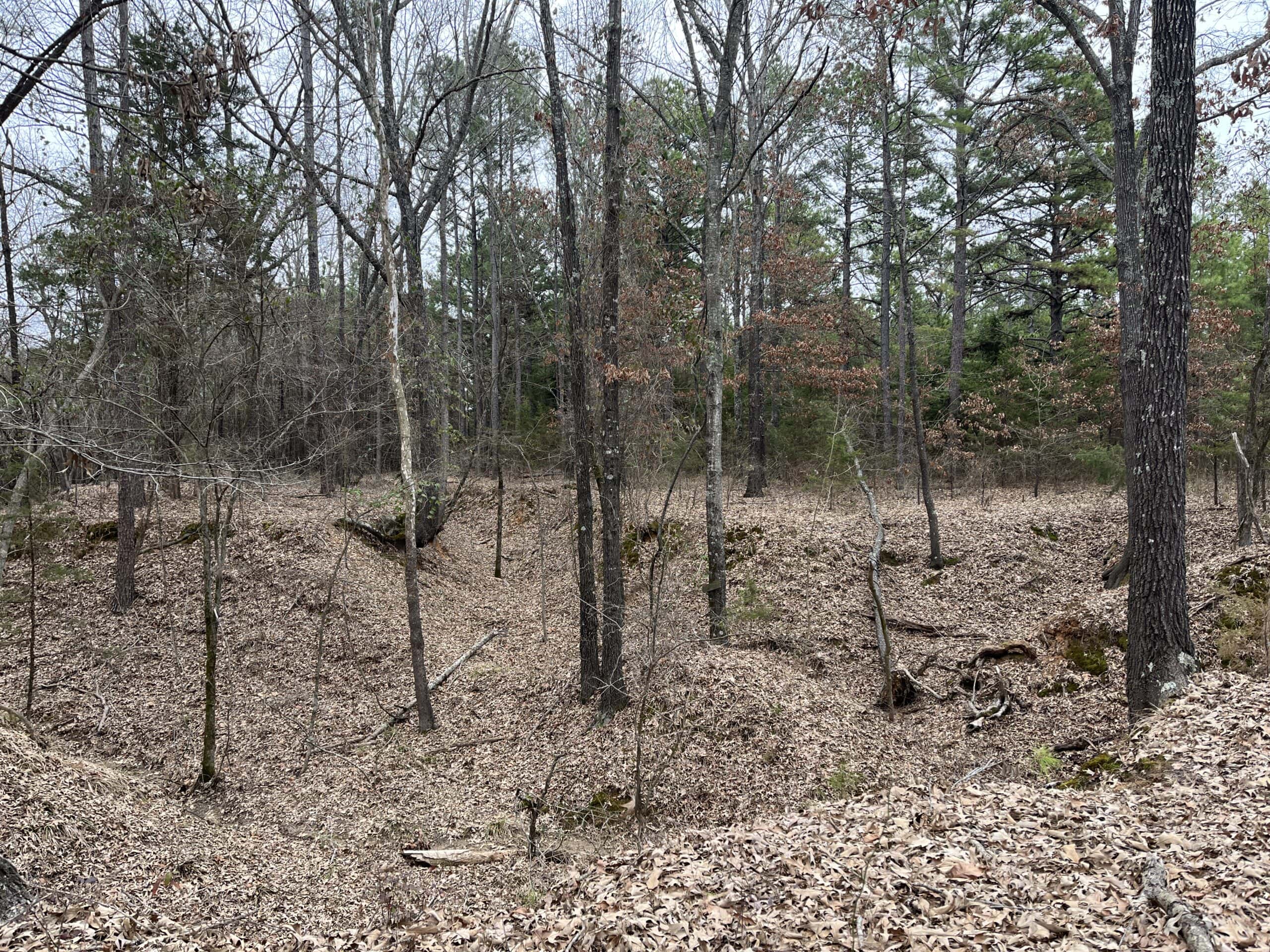 20-Acre Hunter’s Paradise in Southeastern Oklahoma-Prime location & Utilities Ready