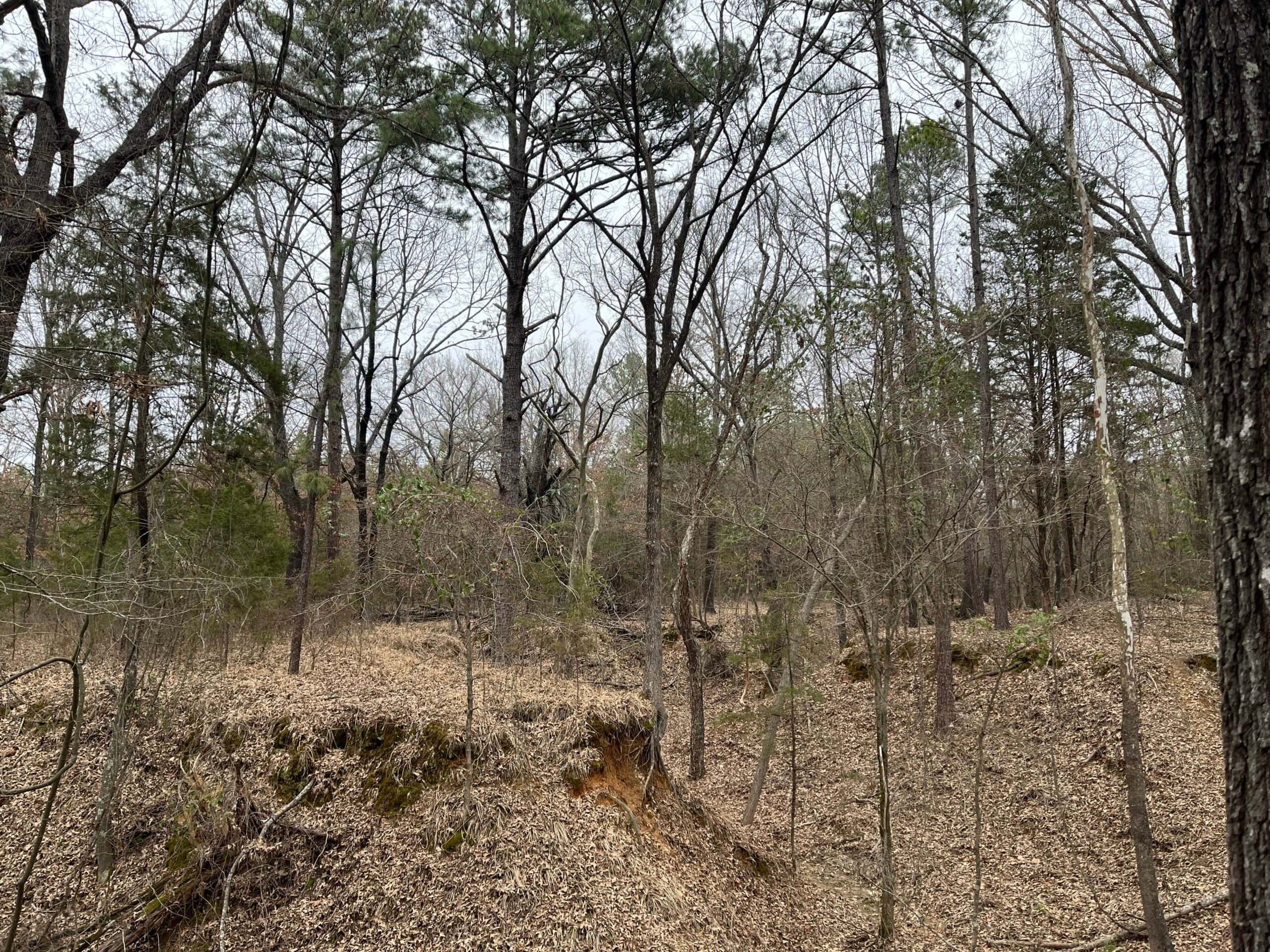 20-Acre Hunter’s Paradise in Southeastern Oklahoma-Prime location & Utilities Ready